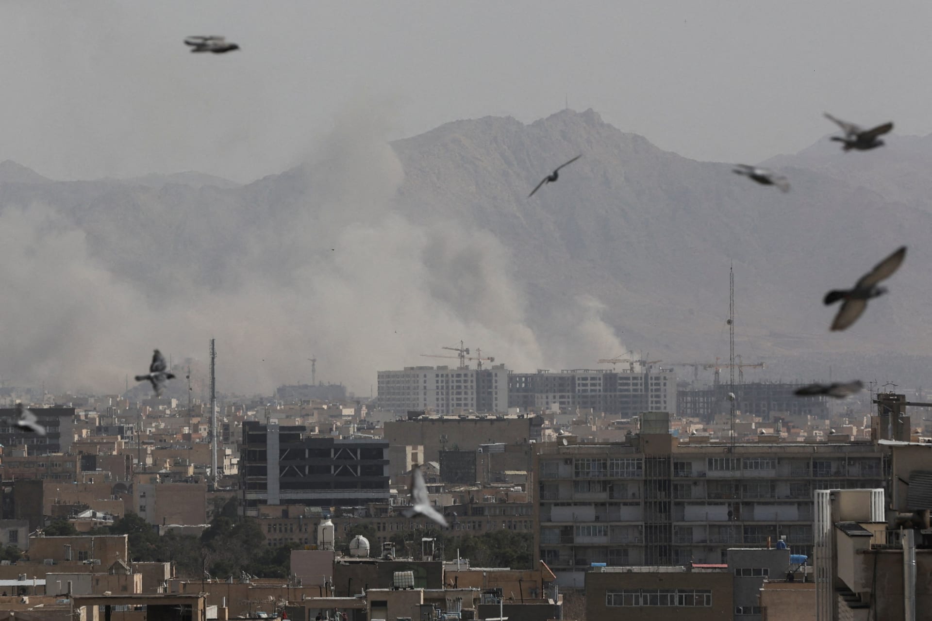 Smoke rises from an urban area as birds fly in the sky
