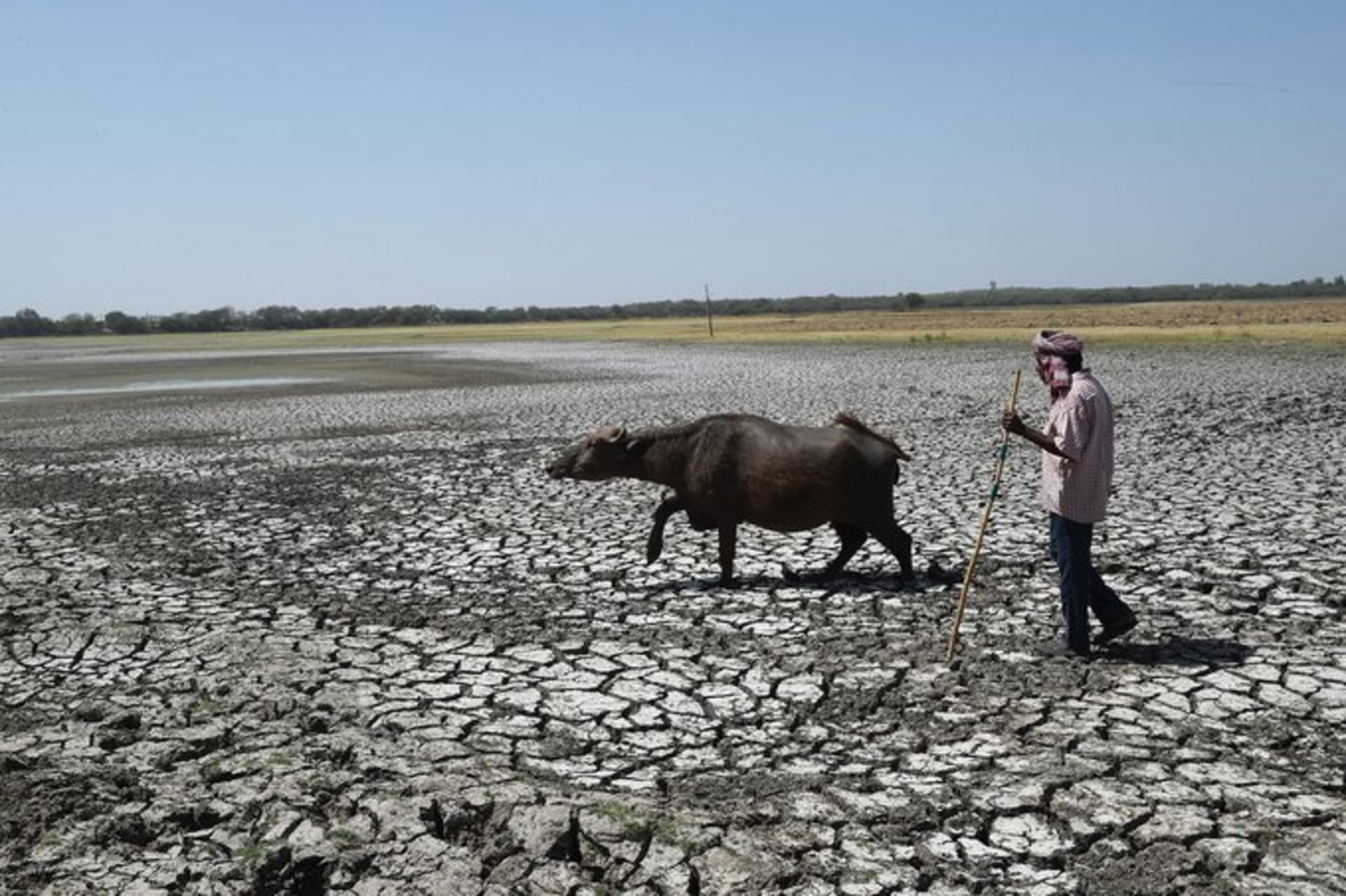 <p>INDIA: Dry beds, such as this one in Thol, are a familiar scene for Indian villages, which are facing increased water stress. Sam Panthaky/AFP/Getty Images</p>
