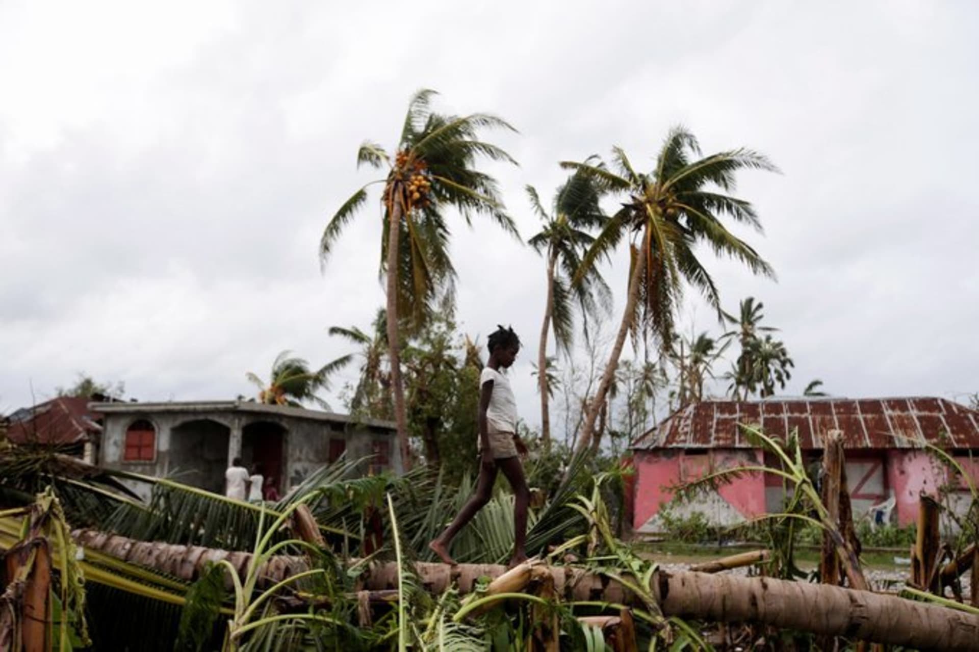 <p>HAITI: Extreme natural events, including Hurricane Matthew in 2016, have pummeled Haiti, driving up food insecurity. Andres Martinez Casares/Reuters</p>
