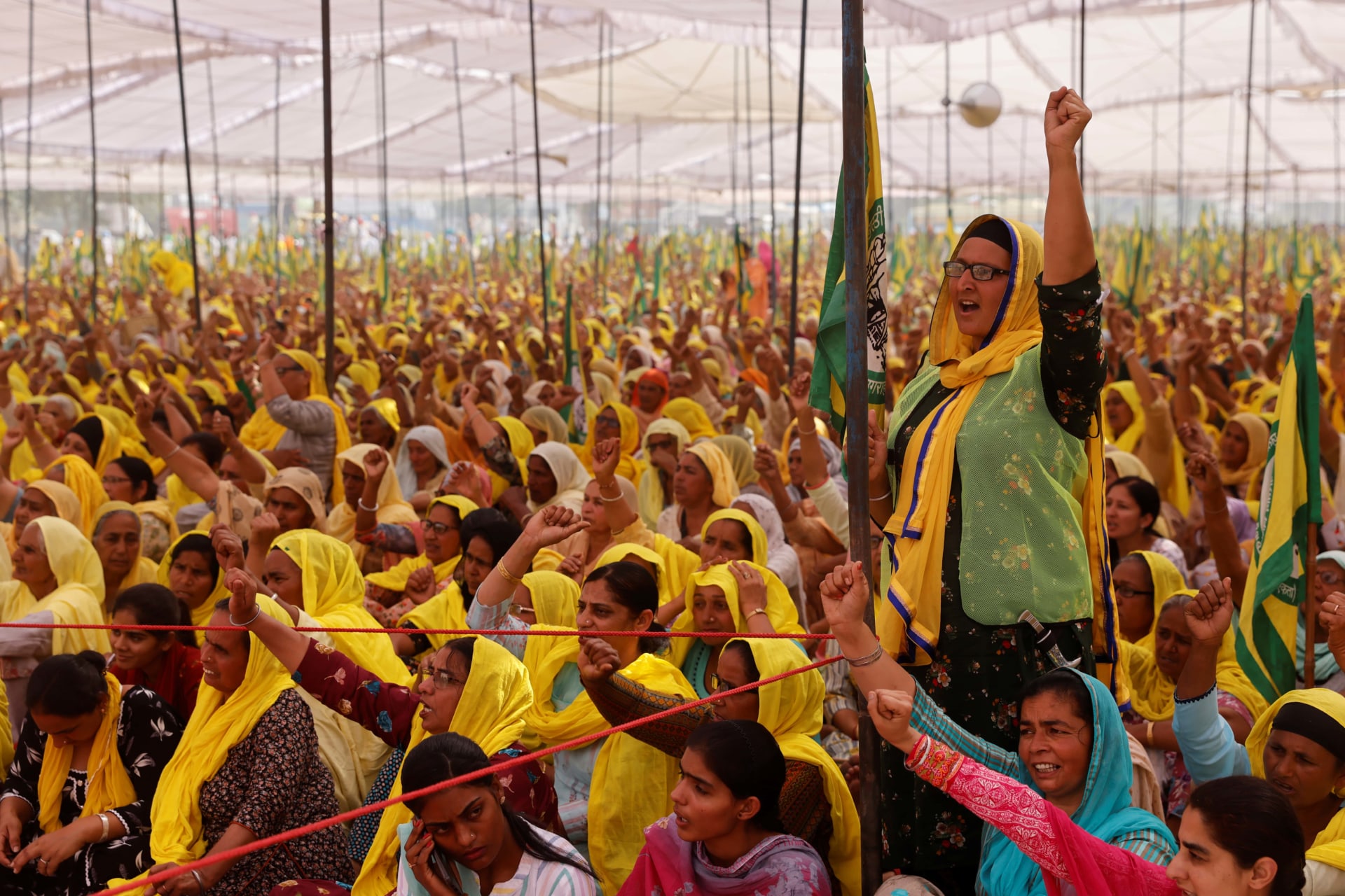 The Indian Farmer Protests