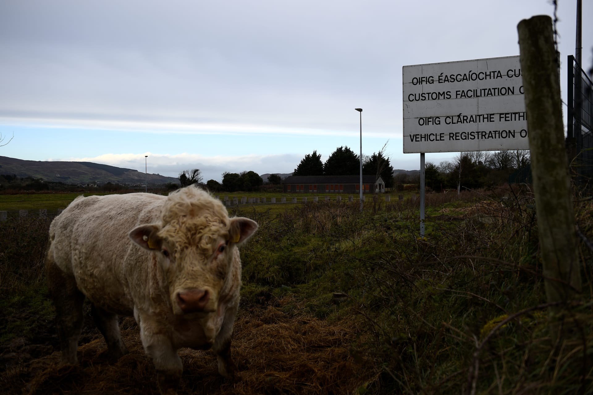 Brexit and the Future of Northern Ireland