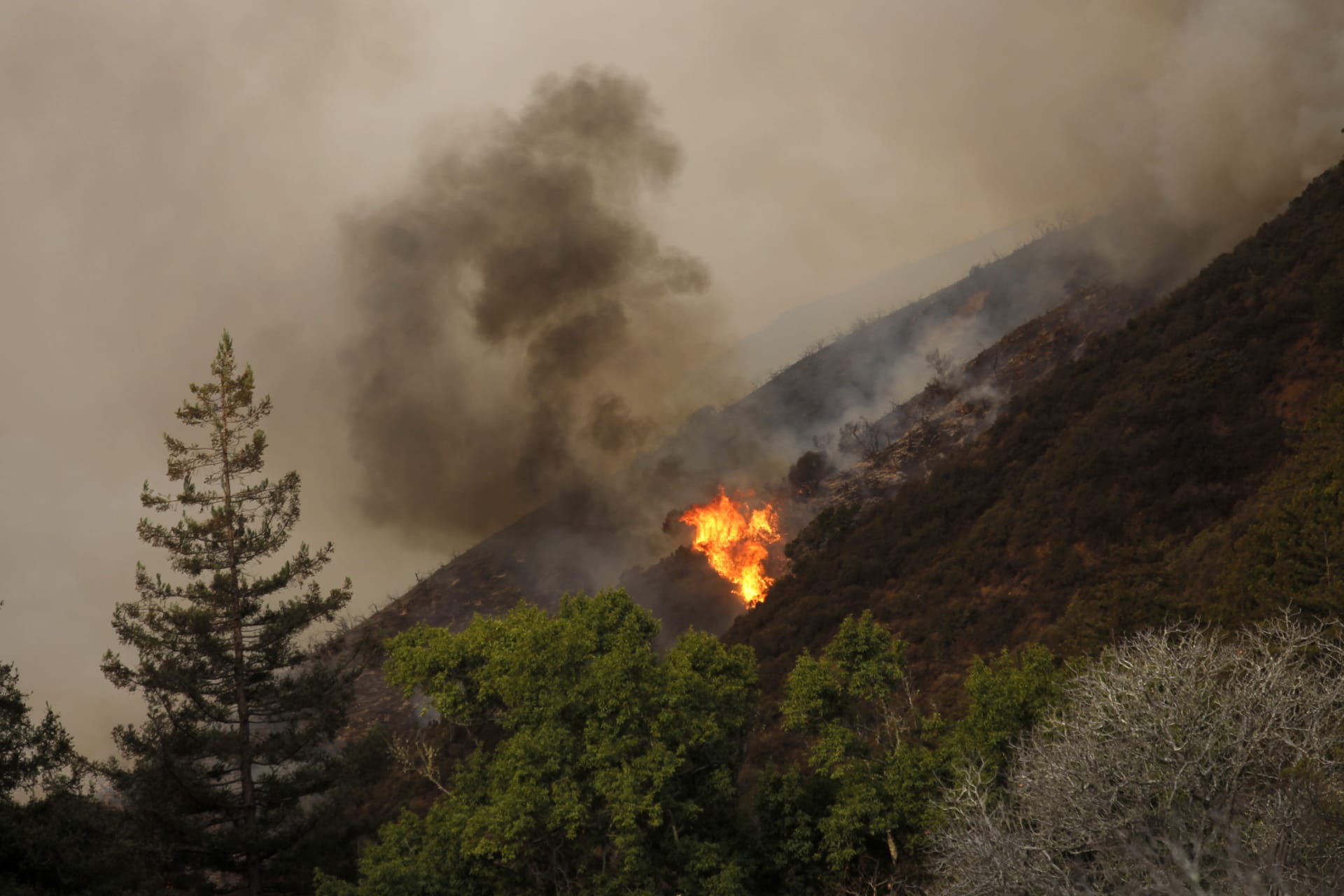 <p>Michael Fiala / Reuters</p>
