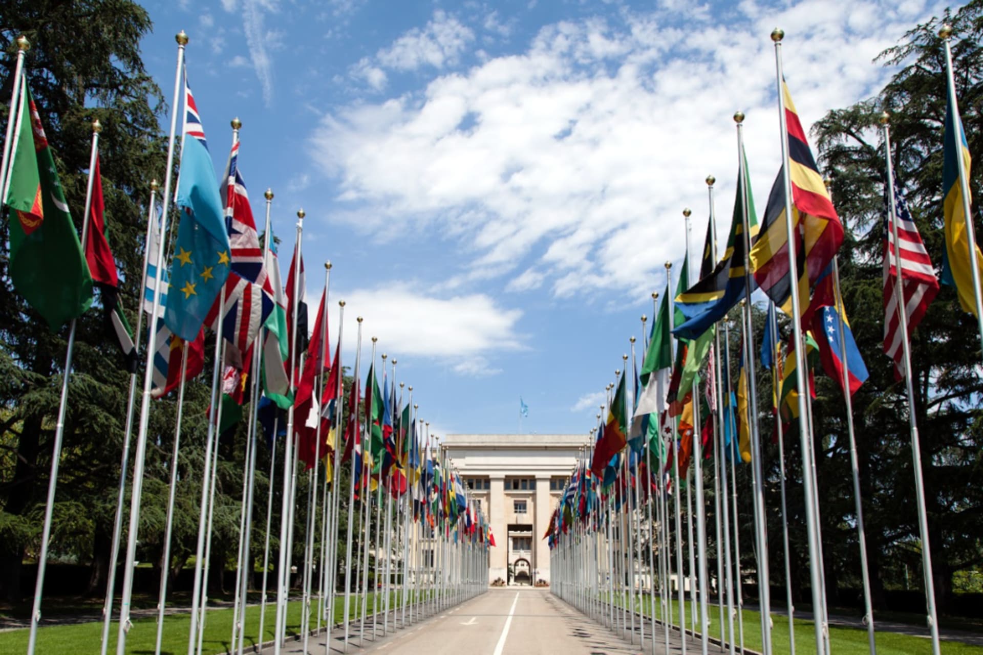 UN flags in front of a building