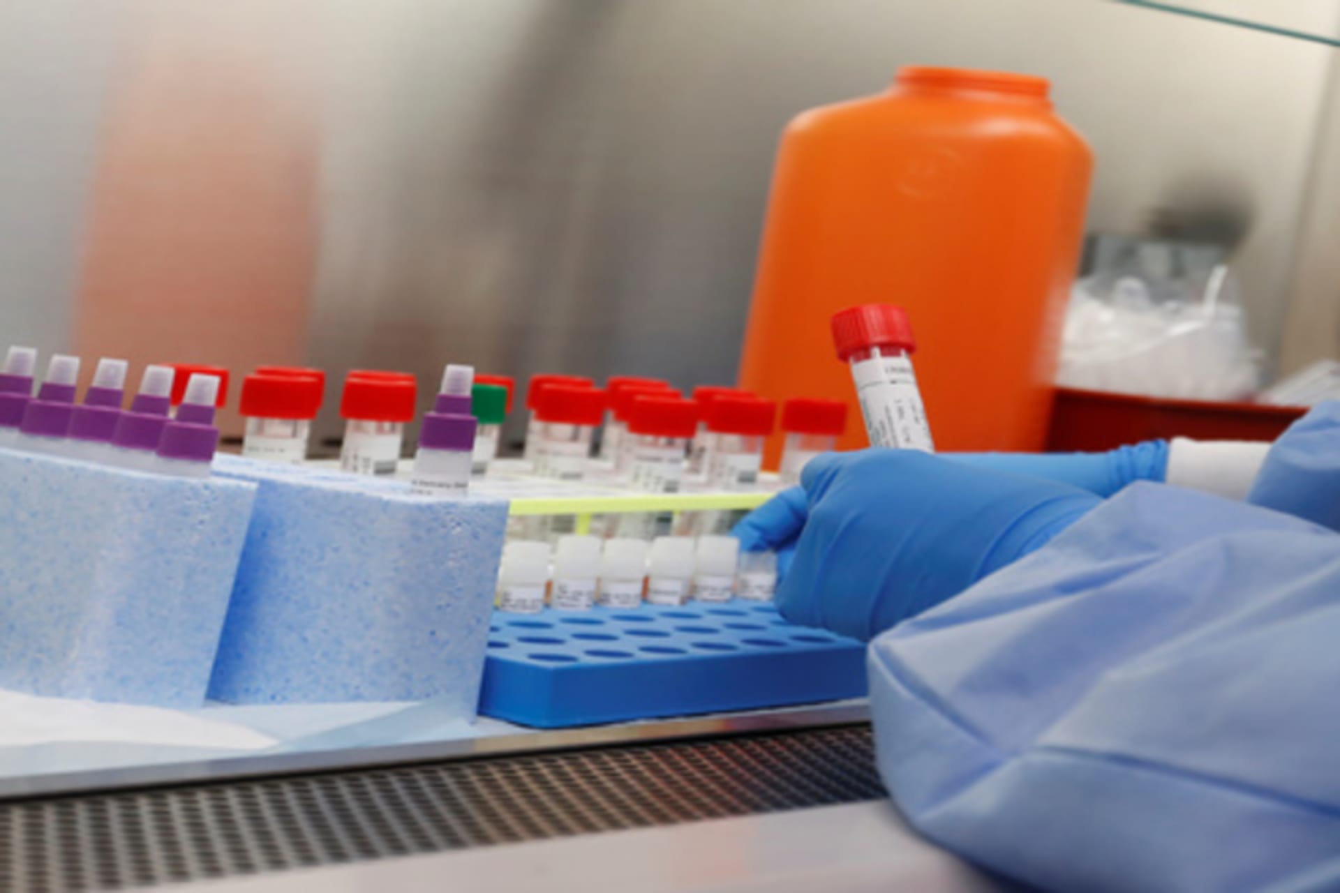 Shannon Stapleton_Reuters_Vaccine.jpg