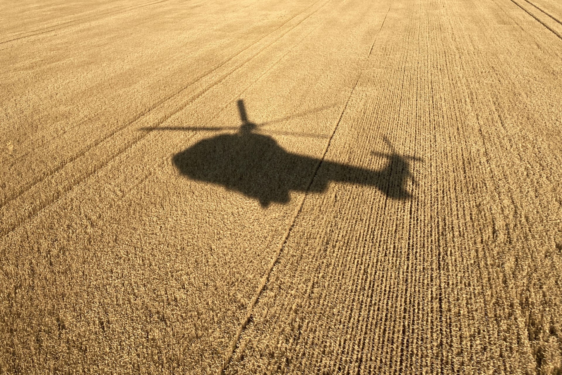 Ukraine emergency helicopter over wheat by Sergiy Karazy.JPG