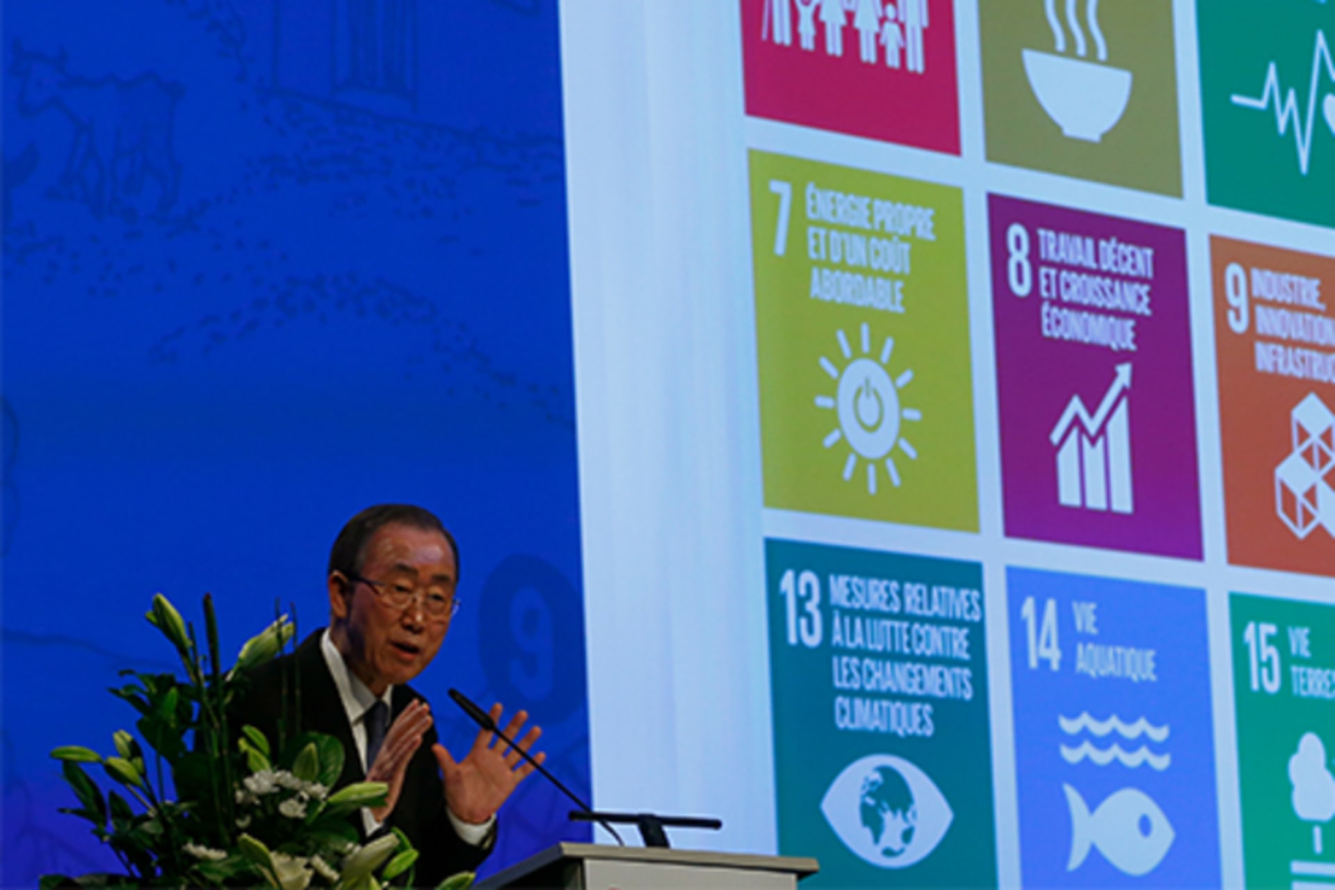 LR-SDGs-Crop