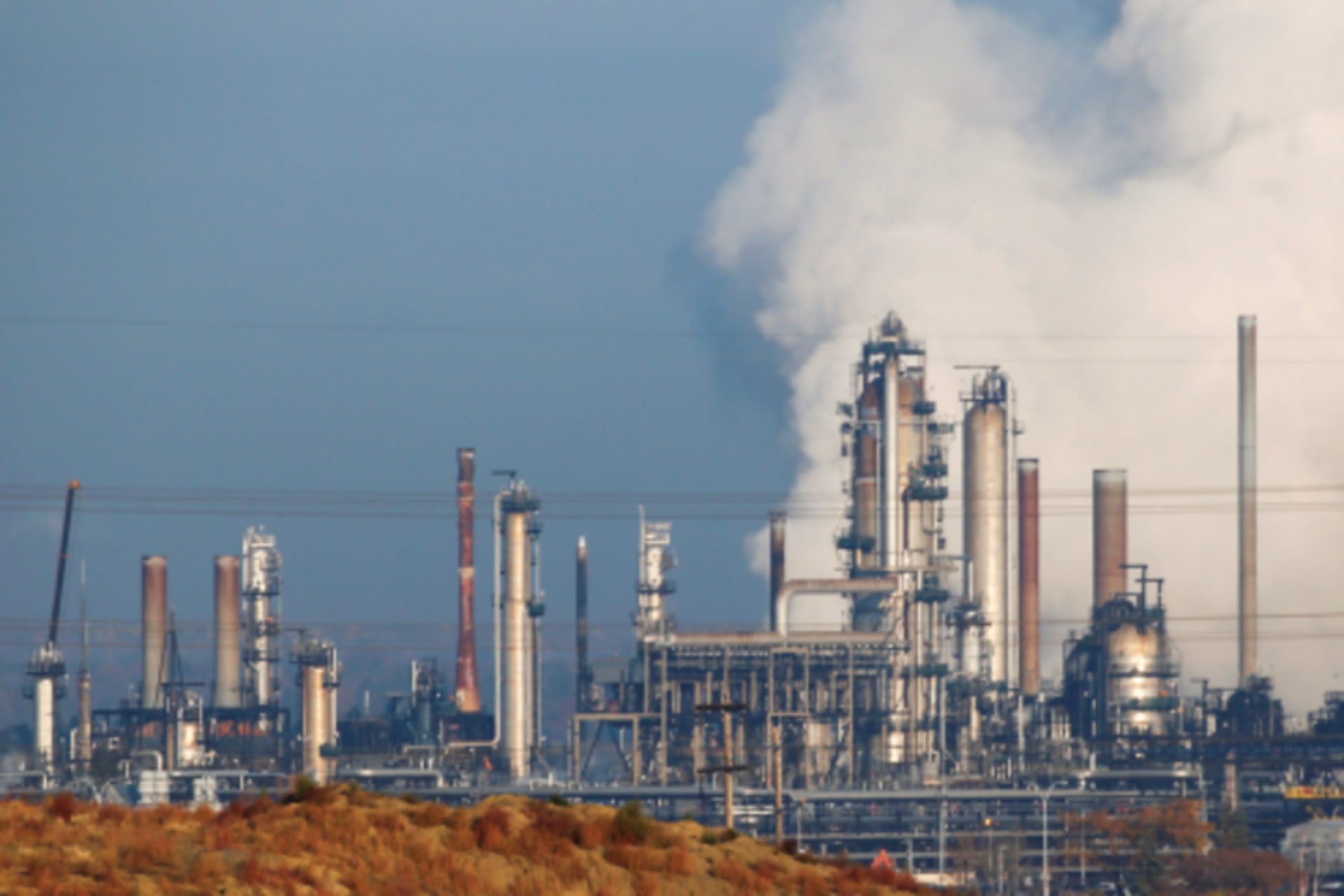 industry-card-crop