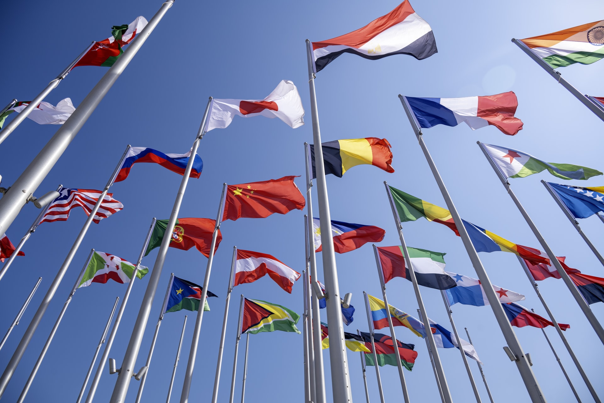 Flags of the world flying in the wind