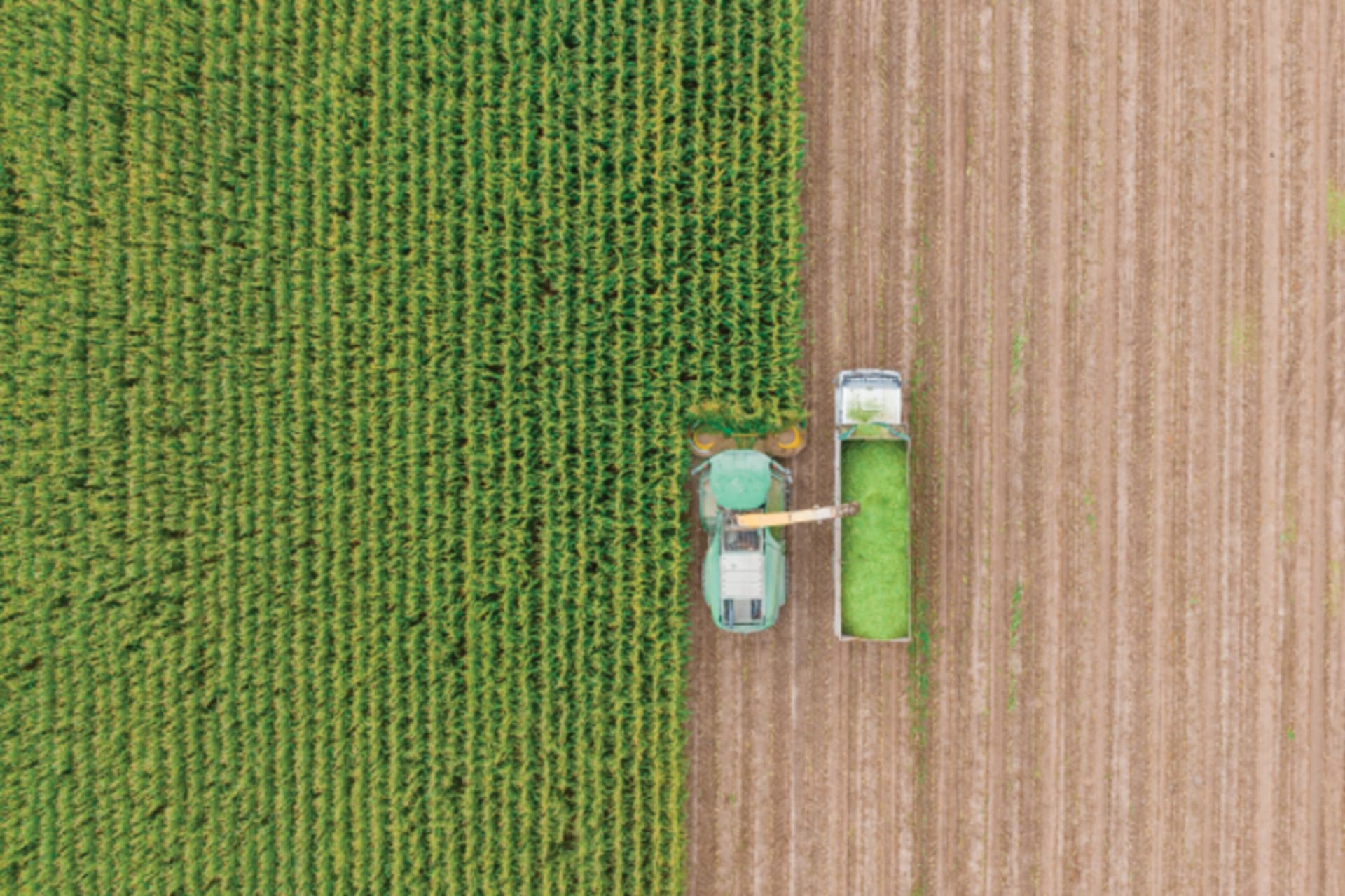 A farmer plowing the field
