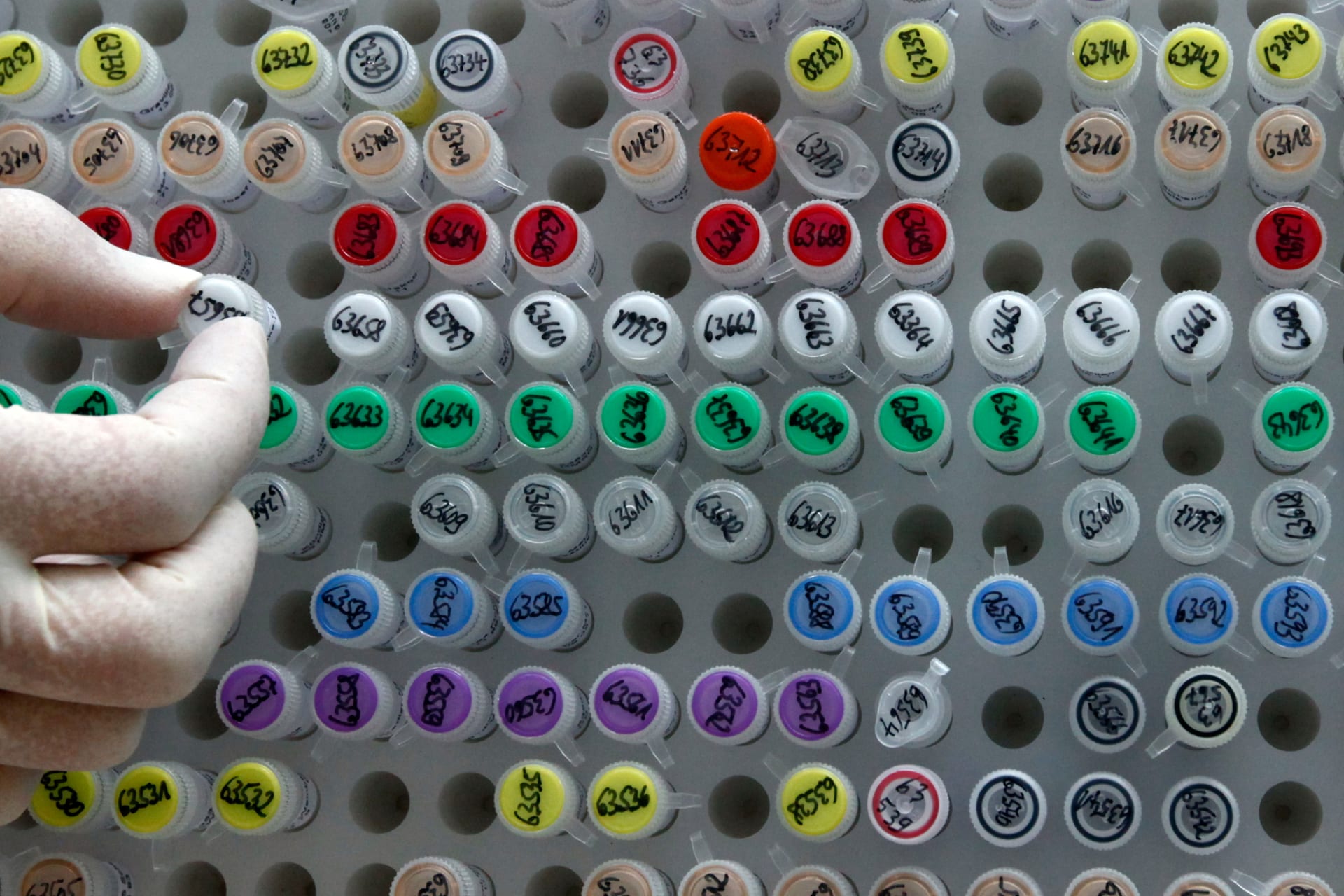 Human genetic material is stored at a laboratory in Munich
