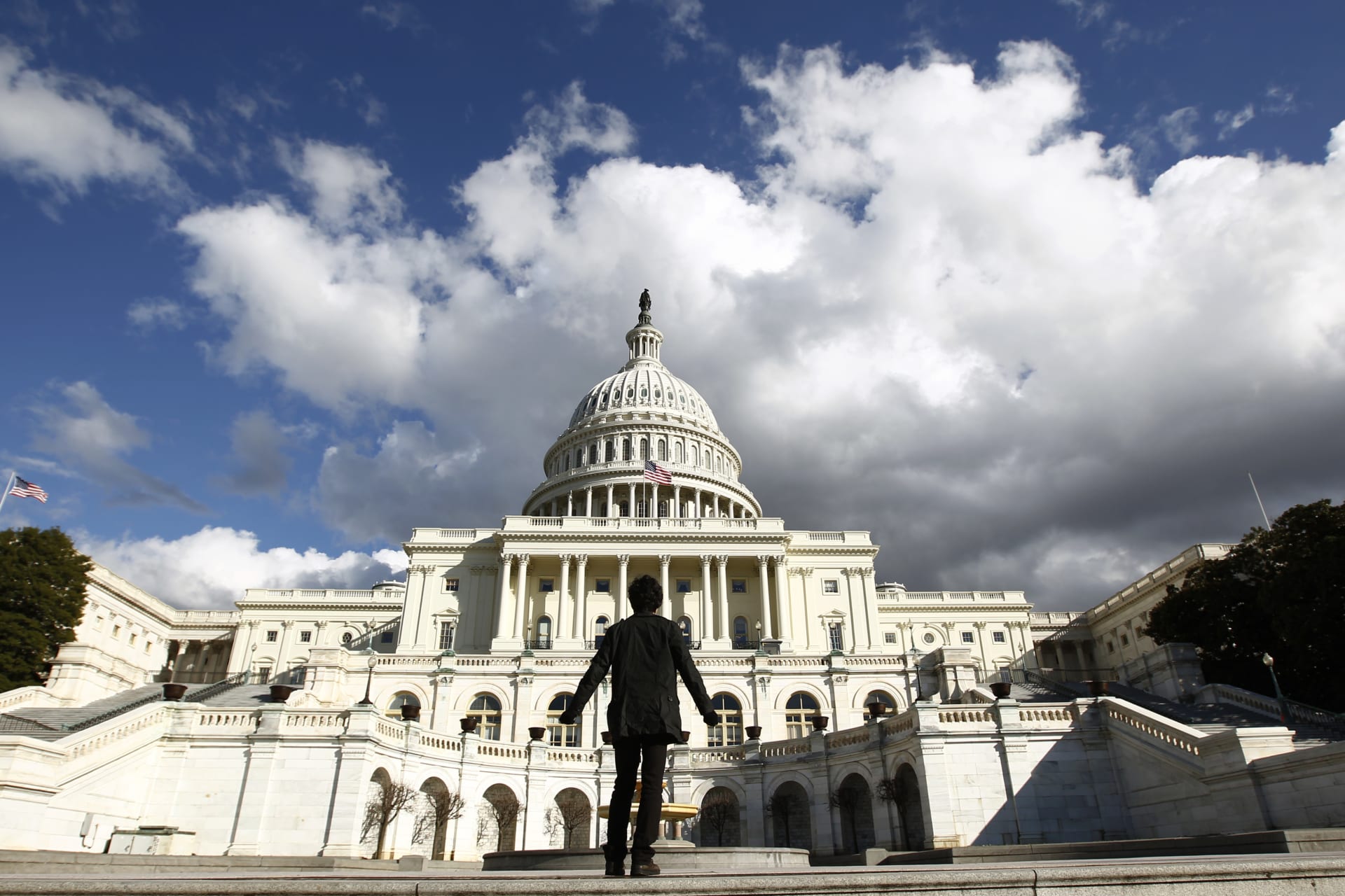<p>A tourist gazes up towards the dome of the U.S. Capitol </p>
