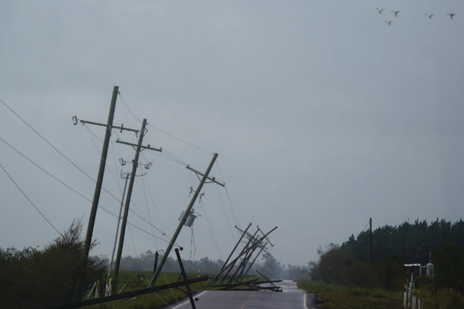 Downed power lines in Creole, Louisiana, after Hurricane Laura on August 28, 2020.