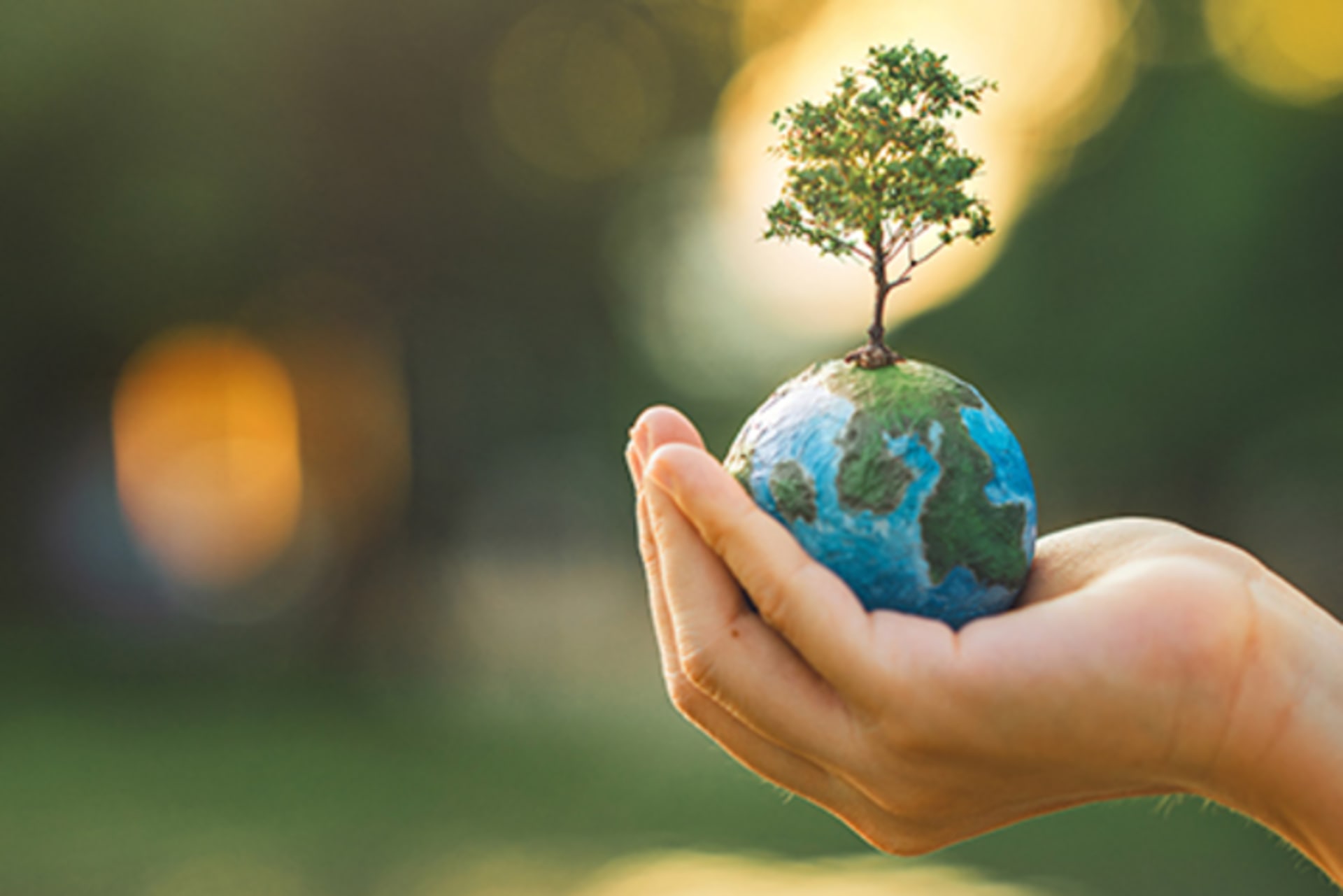 Person holds a miniature globe with a small tree coming out of it