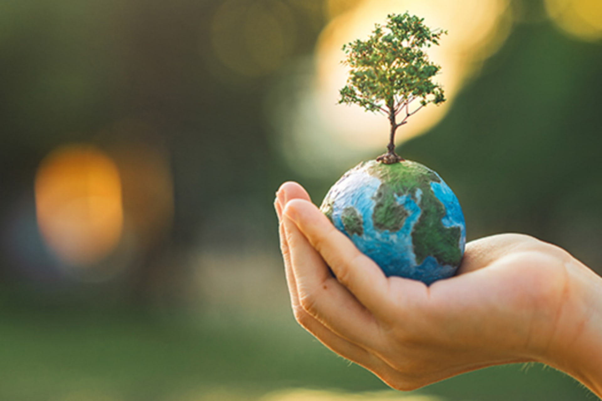 Person holds a miniature globe with a small tree coming out of it 