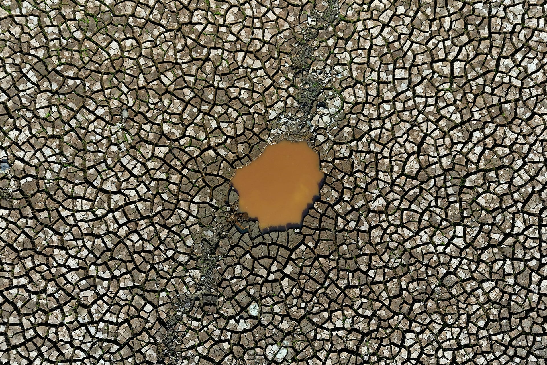 Brazil's most intense and widespread drought in the Amazon