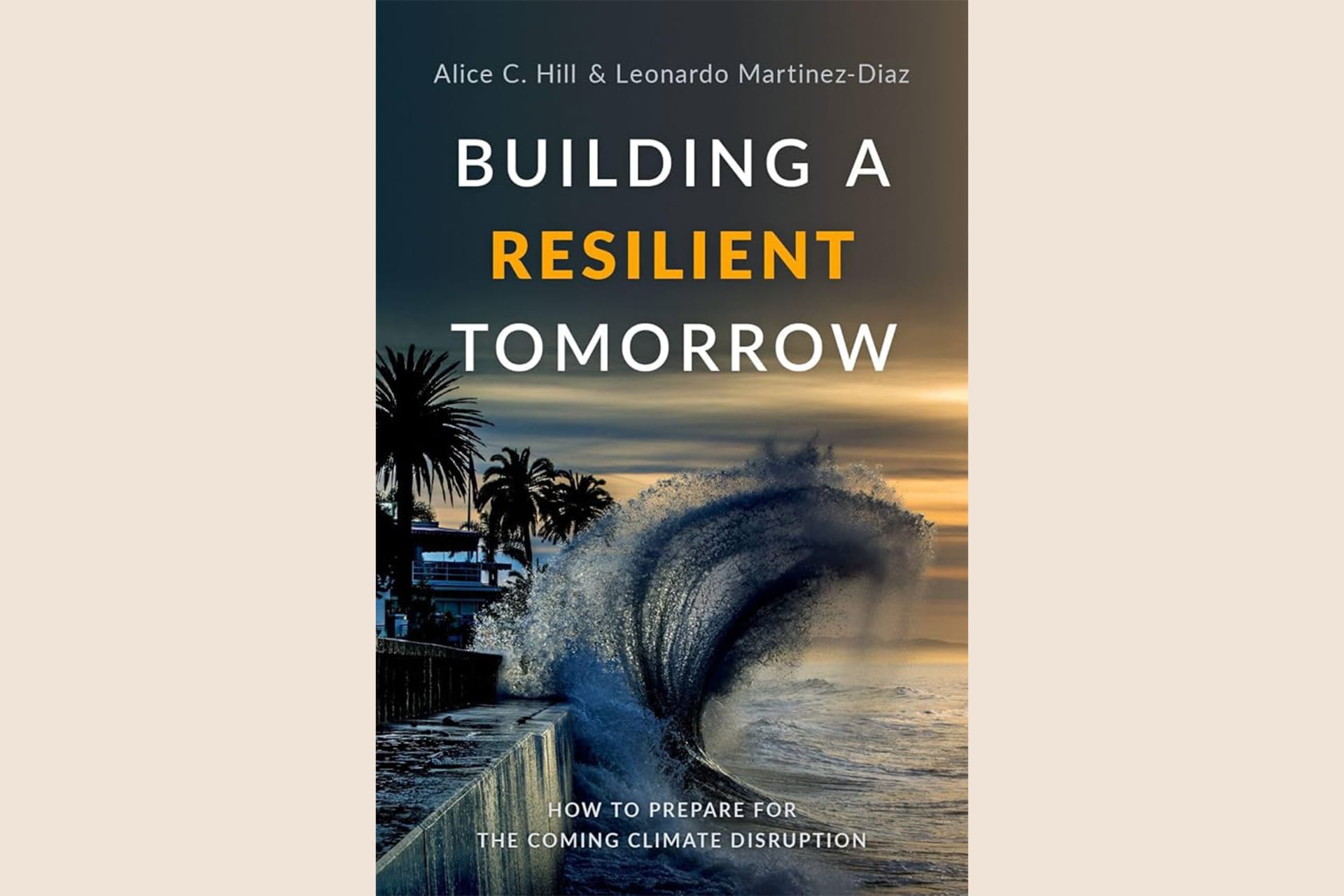 A book cover showing a wave crashing against a wall, close to buildings. The text reads, "Building a Resilient Tomorrow".