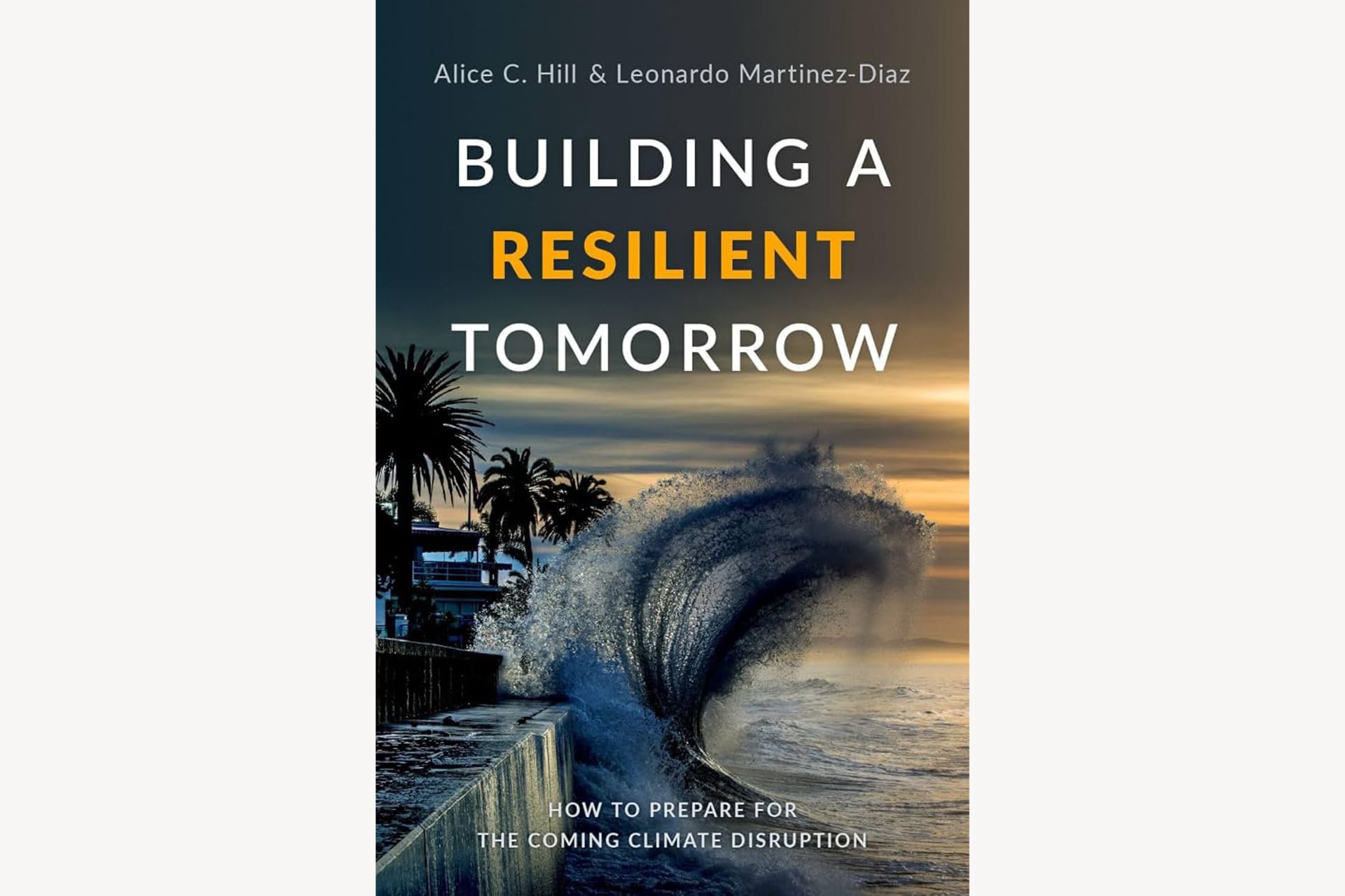 A book cover showing a wave crashing against a wall, close to buildings. The text reads, "Building a Resilient Tomorrow".