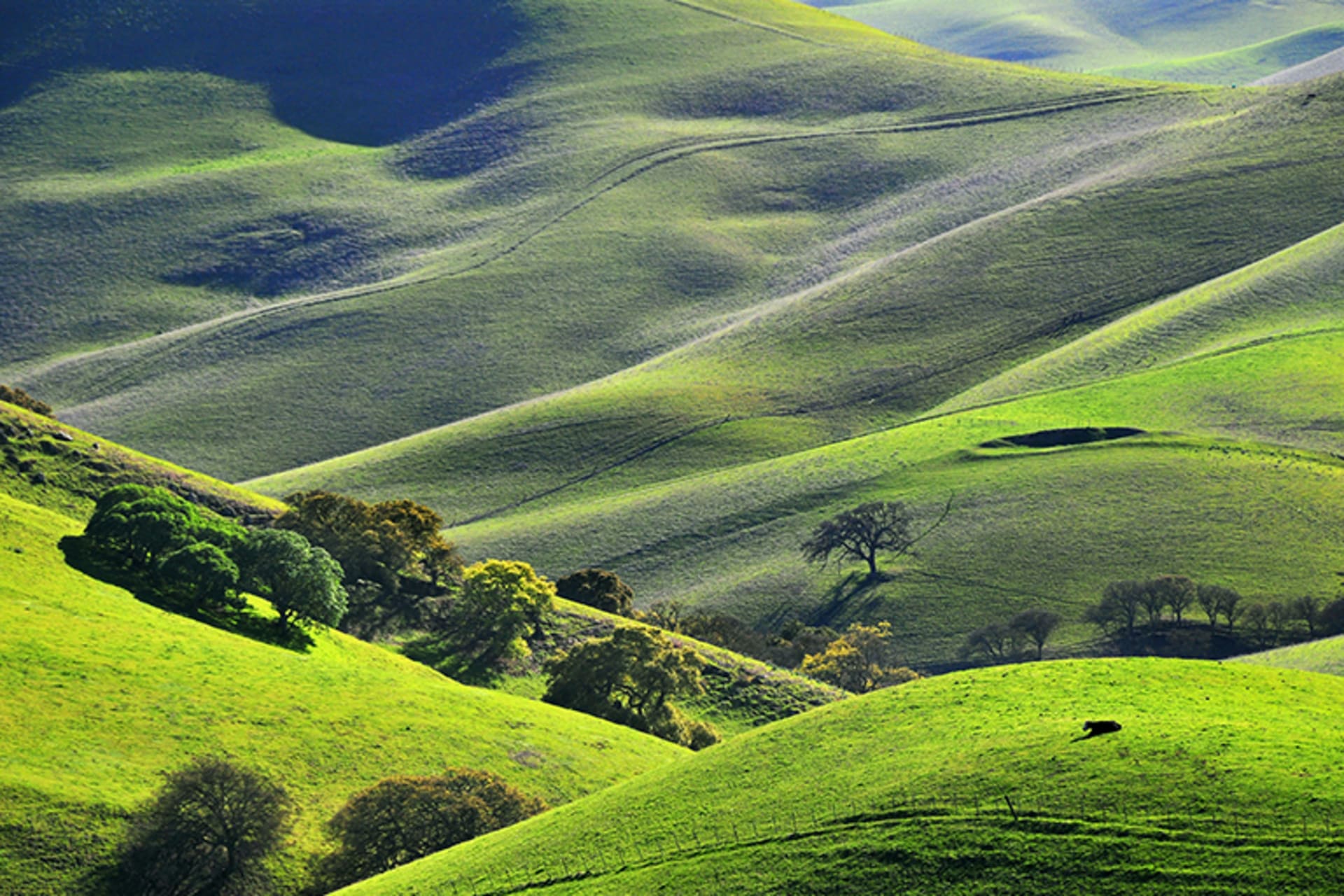 Rolling green hills with trees interspersed throughout.