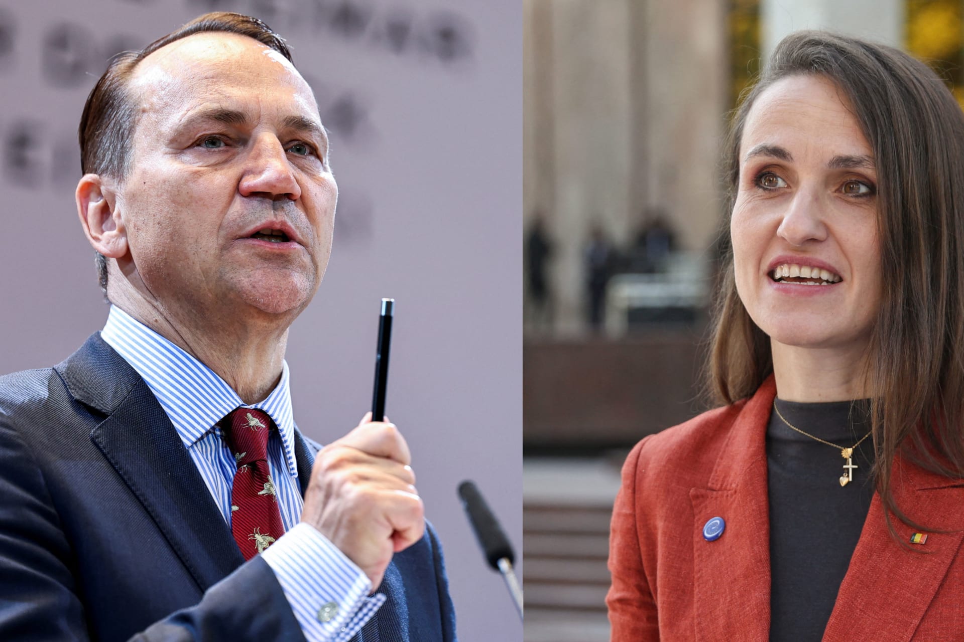 Poland's Foreign Minister Radoslaw Sikorski, Romanian Foreign Minister Oana-Silvia Toiu