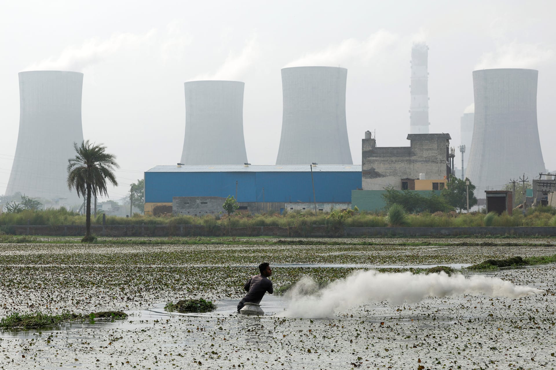<p>A farmer sprinkles pesticide as smoke rises from the chimneys of a coal power plant in Dadri, India, on June 20, 2024.</p>