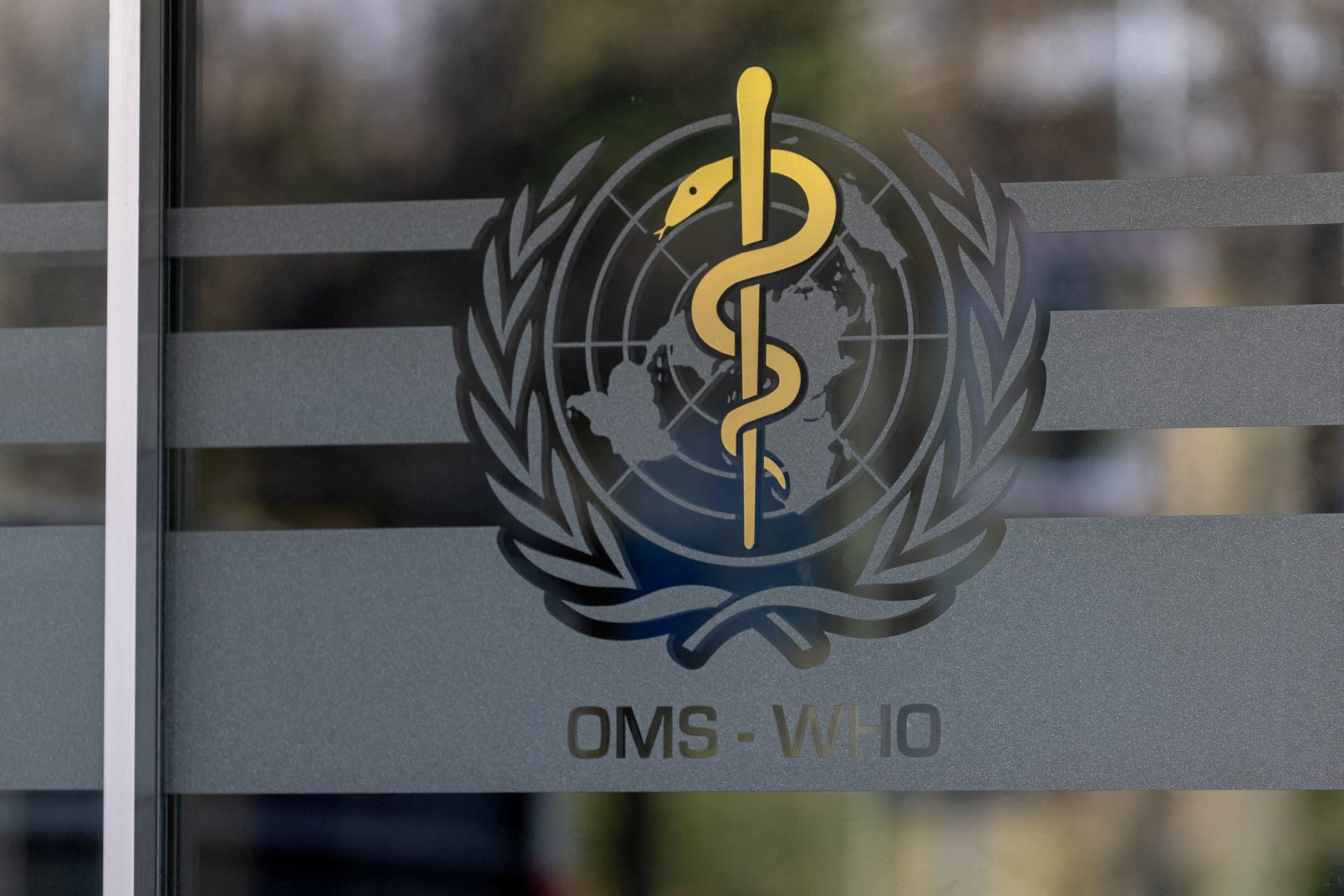 <p>The logo of the World Health Organization is seen at the WHO headquarters, in Geneva, Switzerland, on January 28, 2025.</p>