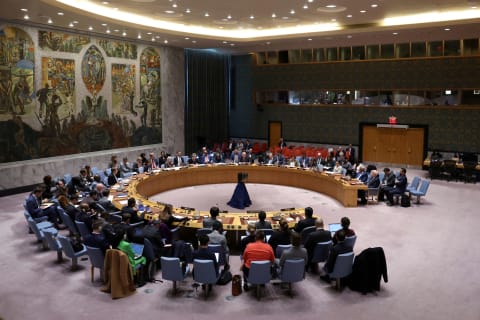 Unsc Conference What Does Africa Really Want? | Council on Foreign Relations