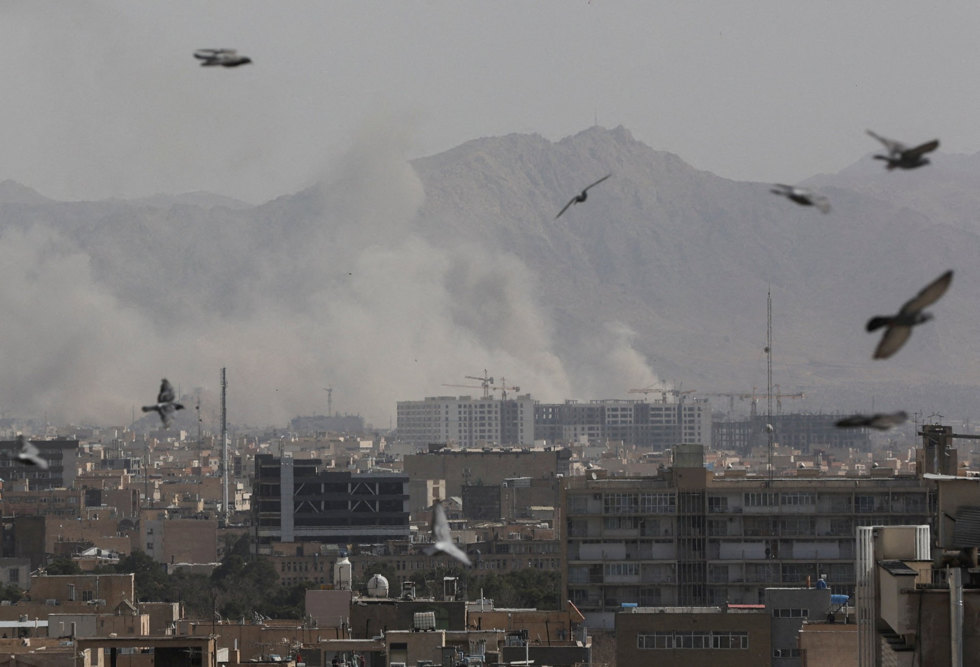Smoke rises from an urban area as birds fly in the sky