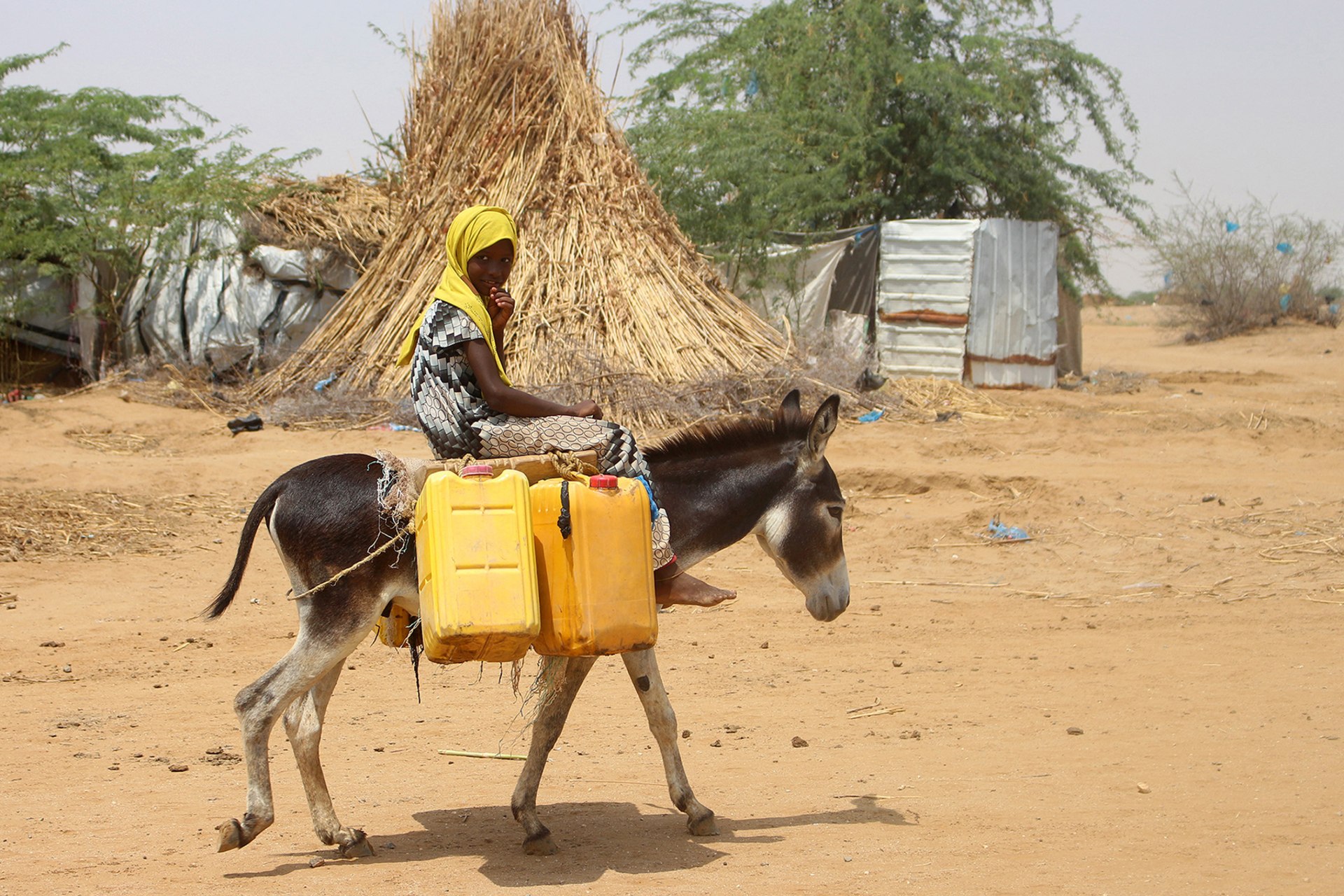 A Yemeni child uses a donkey to transport water from a well near a makeshift camp for internally displaced Yemenis in Abs in the northern Hajjah province