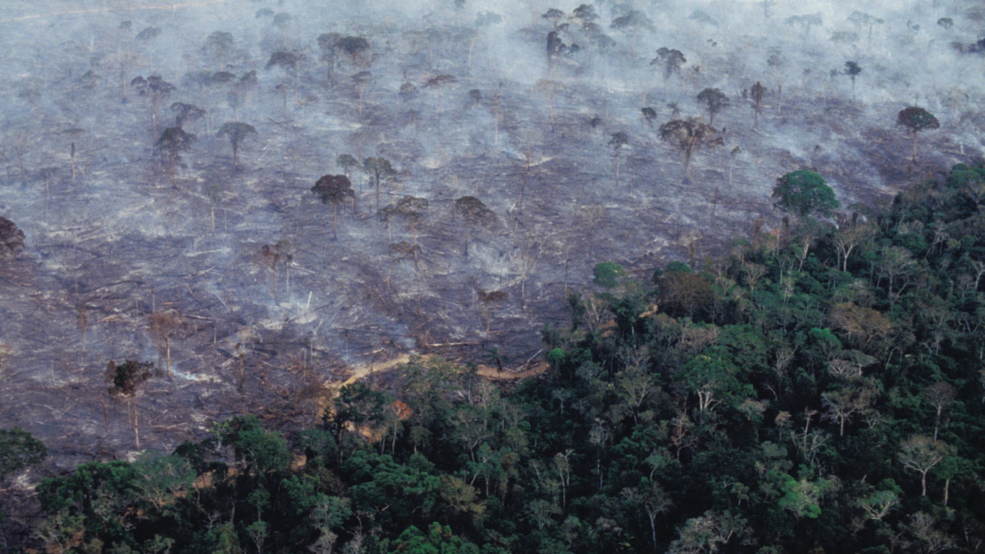 Aerial view of Amazon rainforest burning for agricultural purposes in 2017.