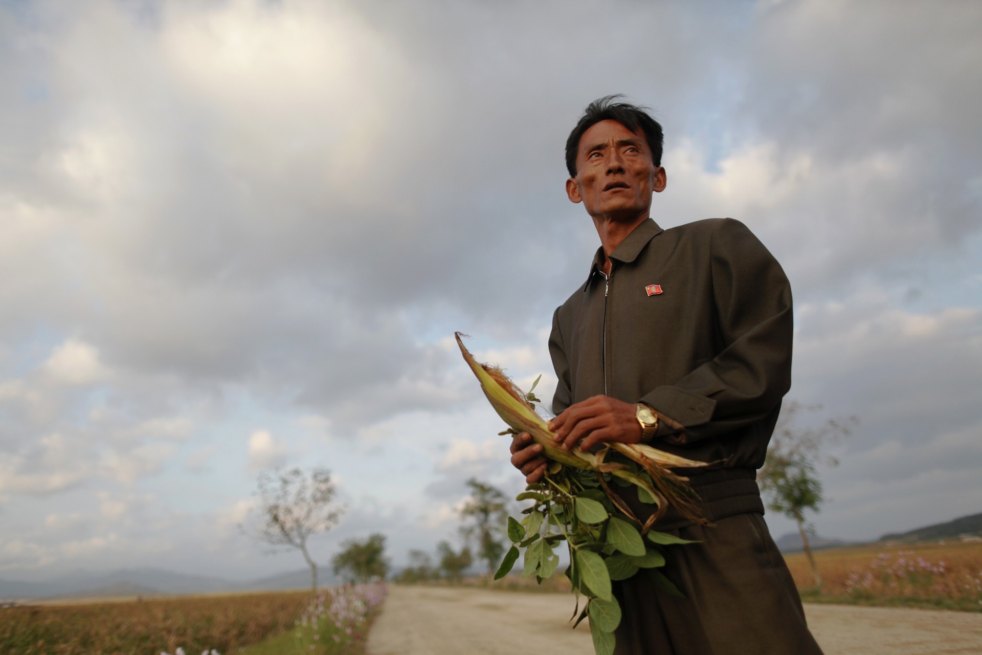 A very skinny north korean soldier looks off into the distance holding a small ear of corn in front of a field with some clouds darkening the sky.
