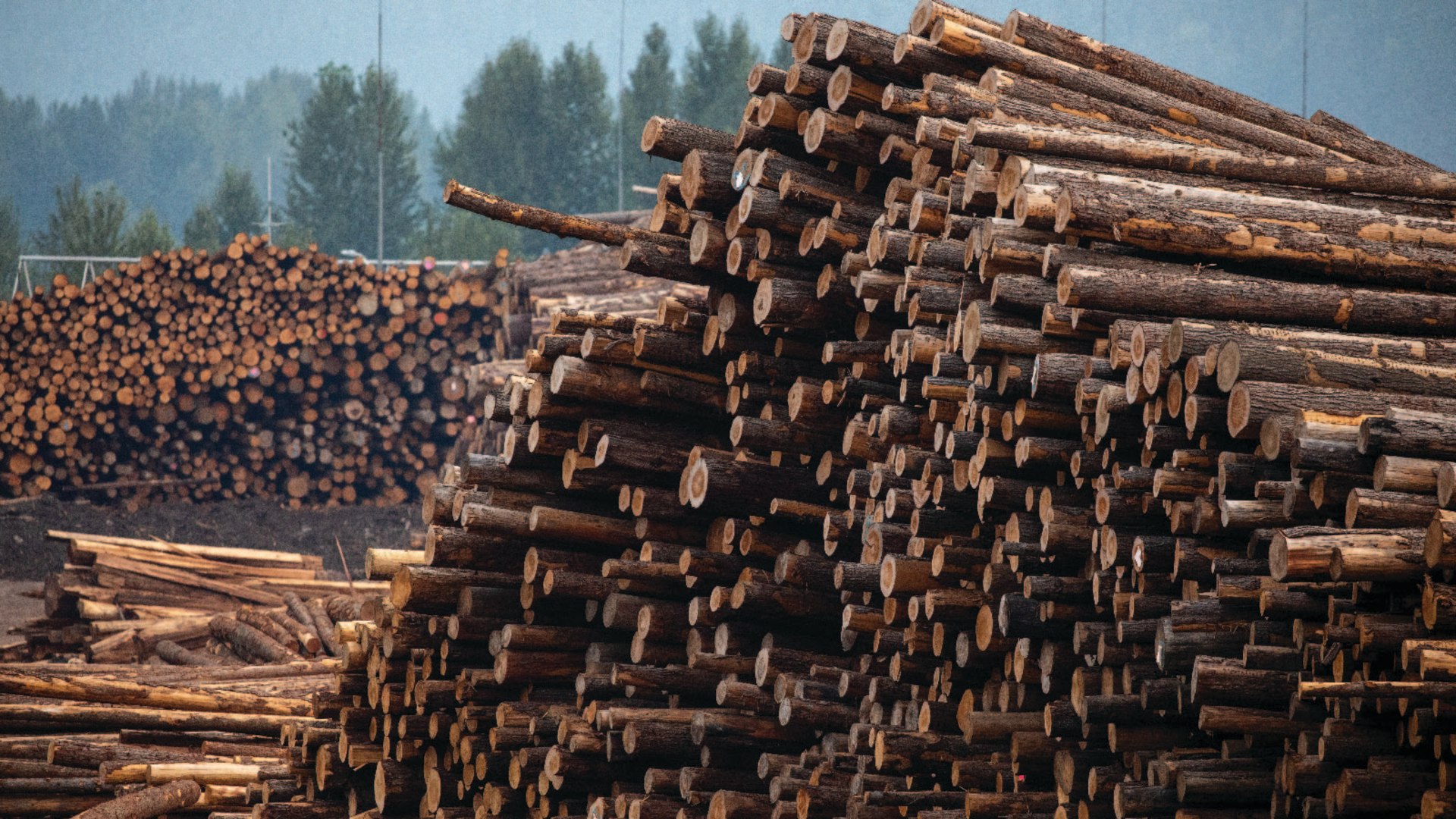 Logs are stacked at a sawmill in Revelstoke, Canada, 