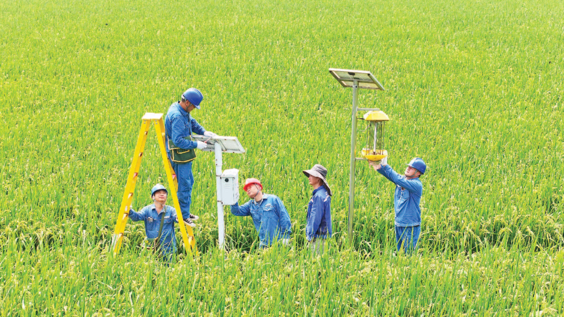 Five workers in a green, grassy field inspect intelligent agricultural monitoring equipment.