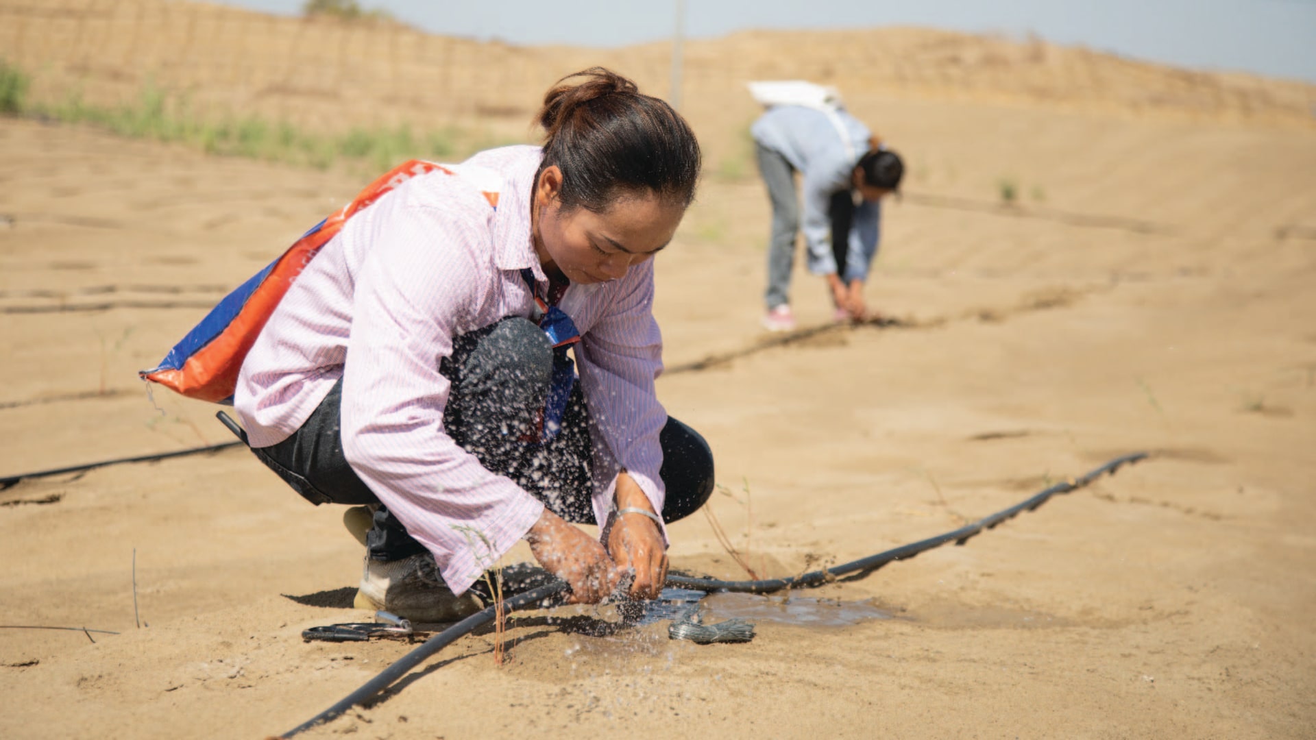 Guards maintain drip irrigation facilities in Bazhou, China, on August 9, 2024.