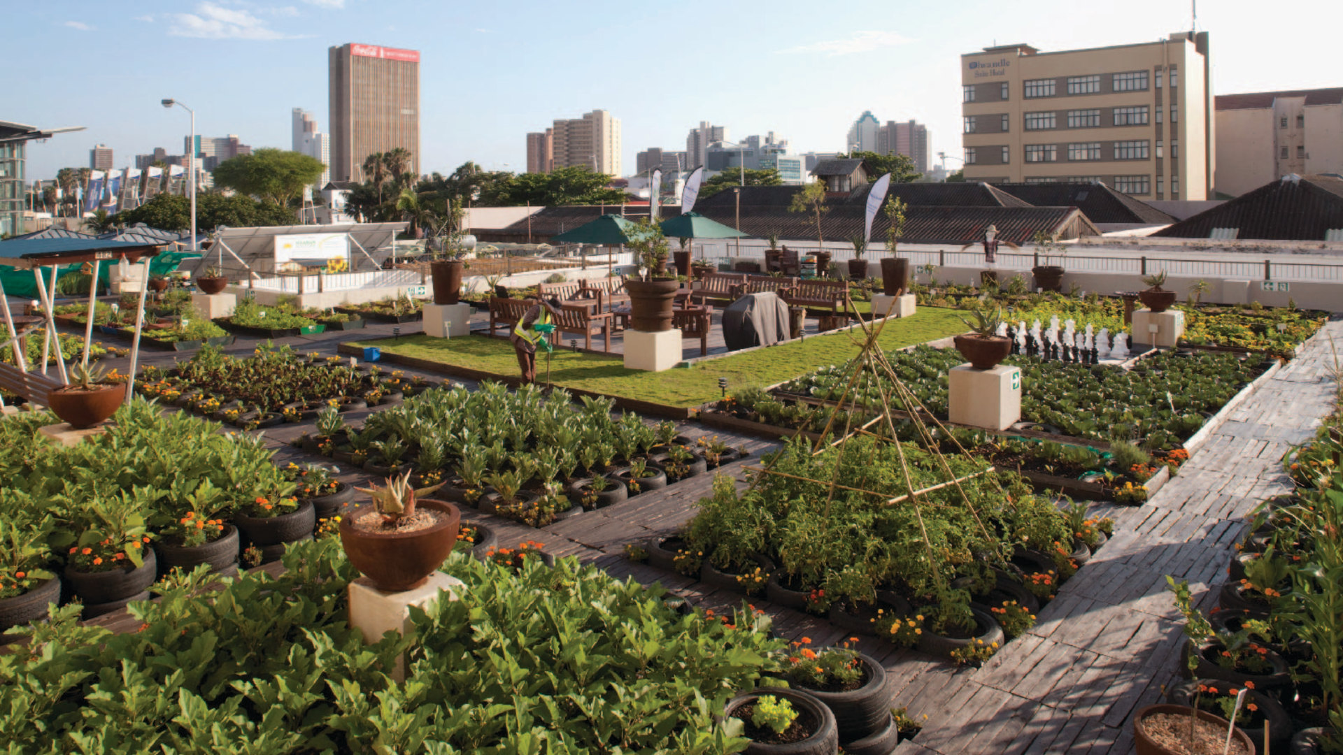 A rooftop garden on a building in Durban, South Africa on December 7, 2011.