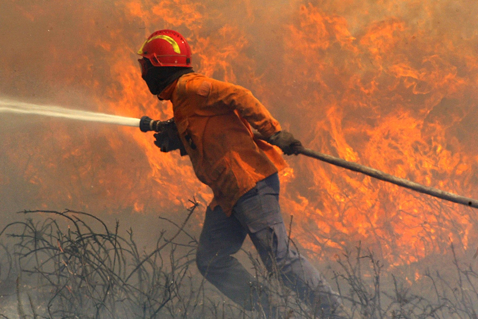 A fireman uses a hose and battles forest fires in Mafra, Portugal on July 25, 2004.  