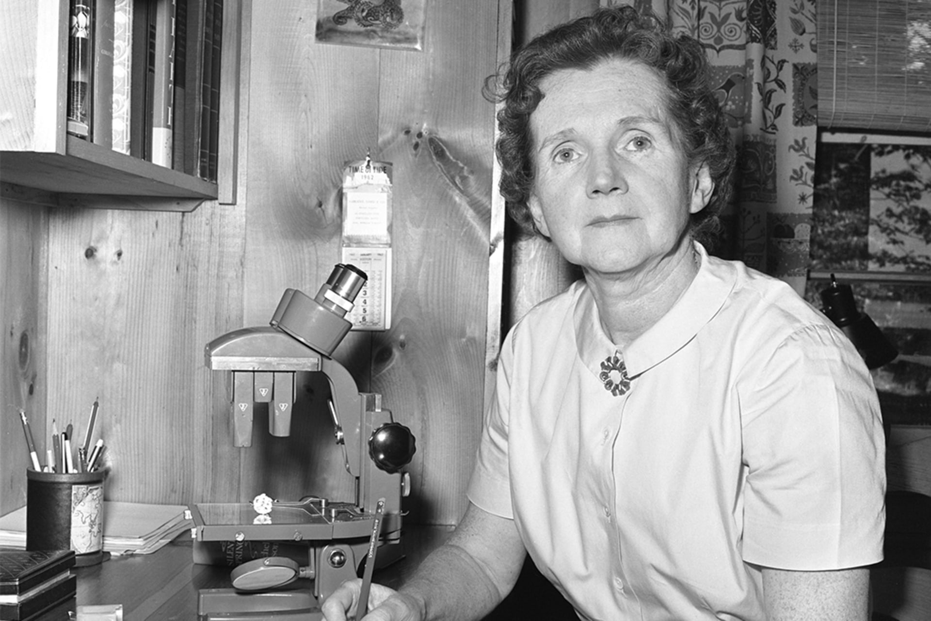 A black and white image of Rachel Carson sitting at her desk writing. A microscope can be seen behind her.