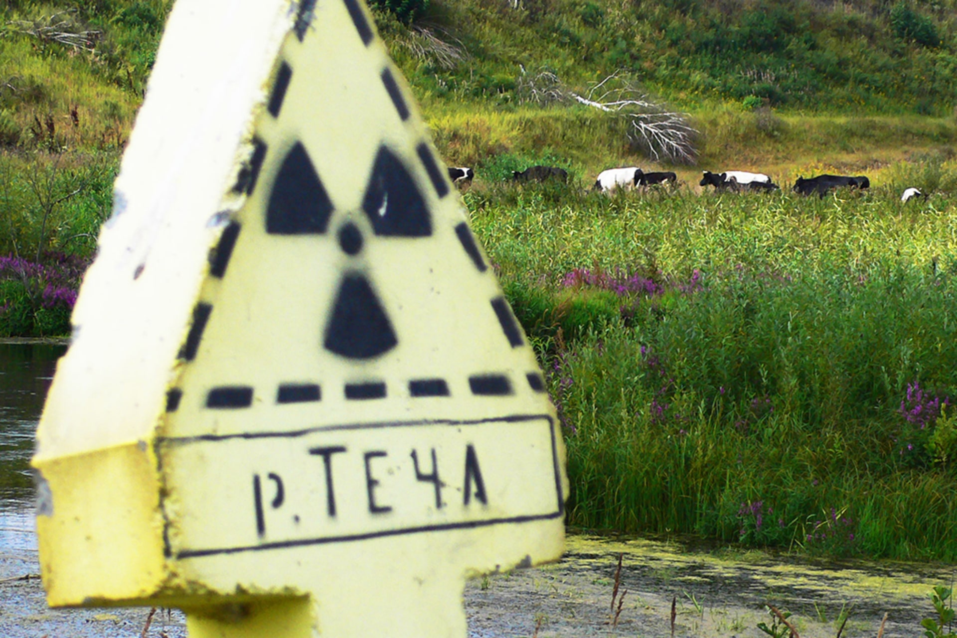 A nuclear radiation sign warns of a contaminated area along the Techa River in Russia.