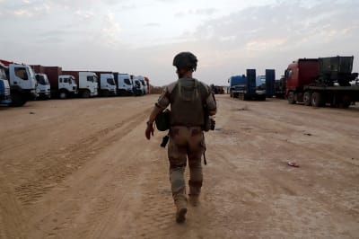 Soldier stands facing away from the camera