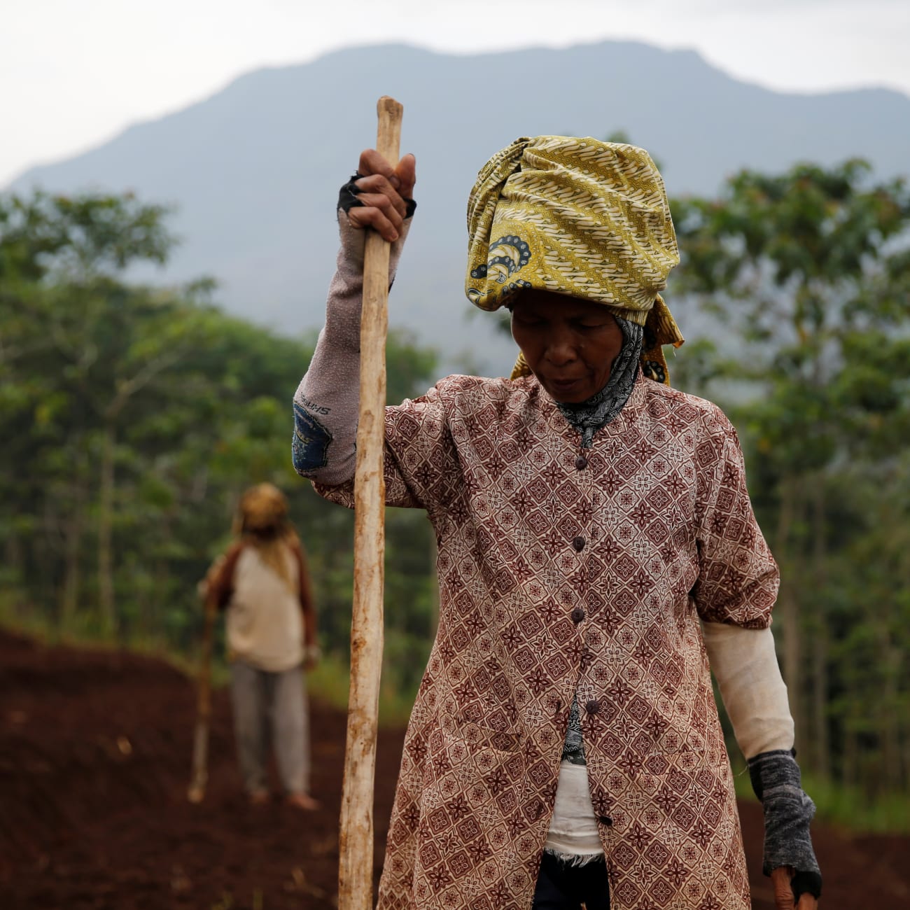 Women workers plant beans, in Majalaya, Indonesia, on October 12, 2017.