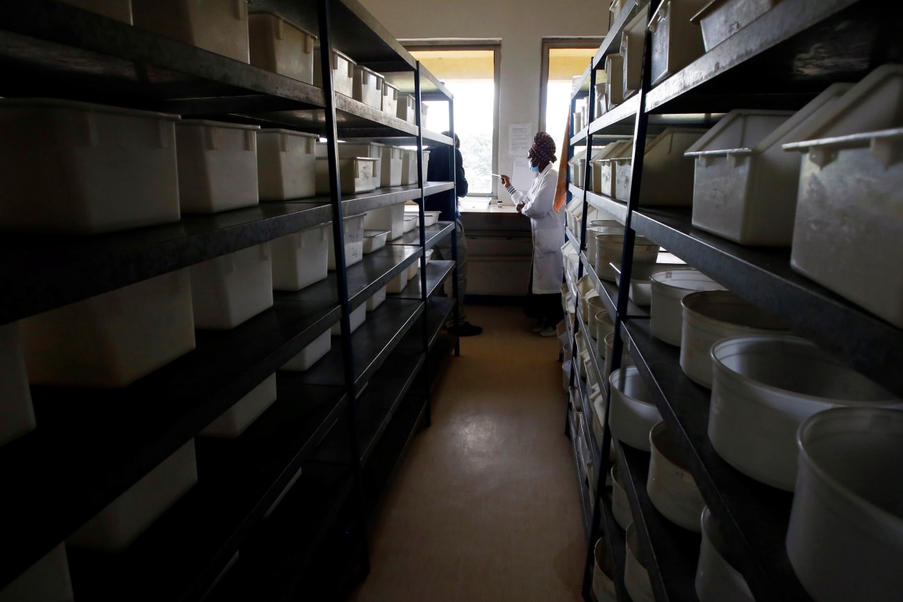 Researchers work inside a laboratory at the International Centre of Insect Physiology and Ecology (ICIPE) headquarters, in Nairobi, Kenya, on May 11, 2020.