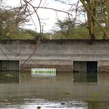 s a toilet block in Kenya, submerged after the water levels at Lake Naivasha bulged to record high.