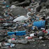 Panama City, Panama In 2019, Panama became the first country in Central America to ban all single-use plastics in a bid to curb pollution on its beaches.  Plastic waste is seen on the shore of a beach in Panama City, Panama, on July 19, 2019. 