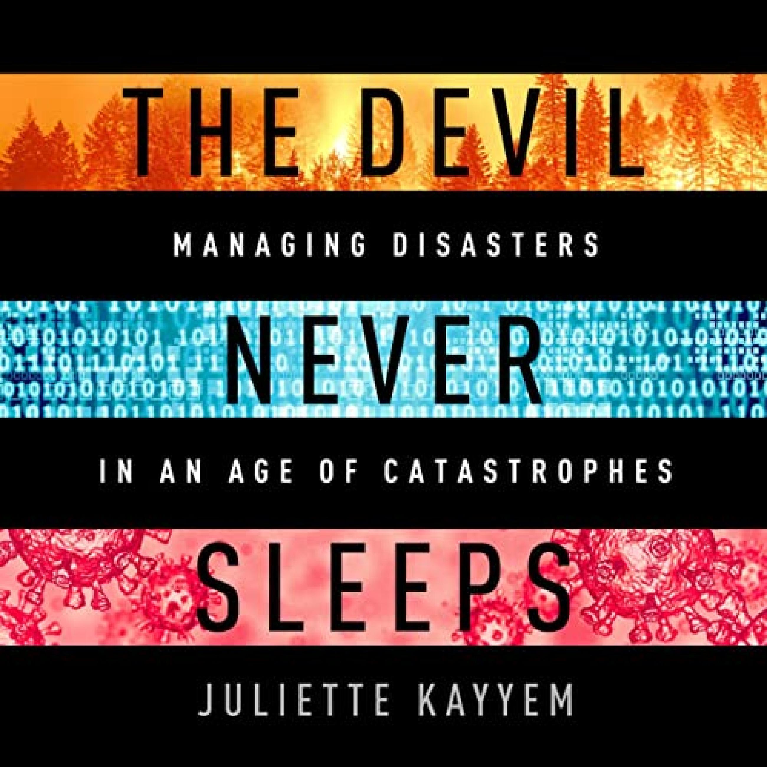 The Devil Never Sleeps: Learning to Live in an Age of Disasters