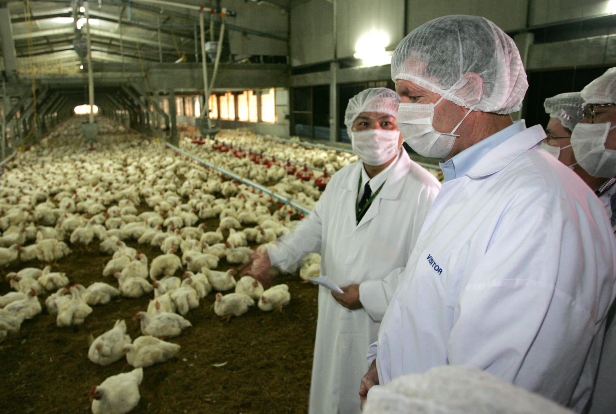 U.S. Health Secretary Michael Leavitt tours a commercial poultry farm in Saraburi province, about 120 km (75 miles) east of Bangkok, on October 11, 2005. Leavitt, leading a group of top bird flu experts from U.N. and U.S. agencies, will also visit Cambodia, Laos and Vietnam, the country hardest hit by H5N1 with 41 deaths. REUTERS/Sukree Sukplang