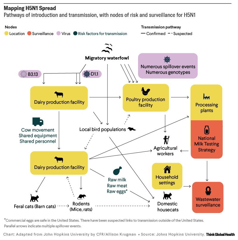 A line chart showing large life expectancy disparities between different groups in the U.S. with steep declines during the pandemic.