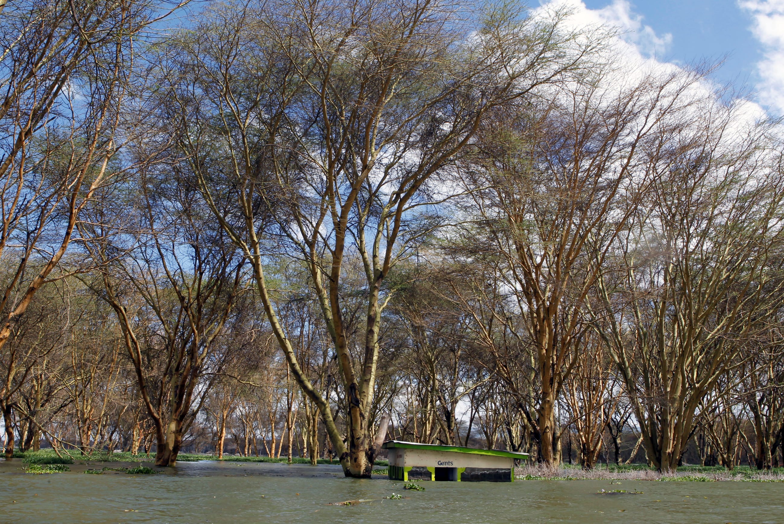 A toilet block is submerged after the water levels at Lake Naivasha bulged to record high, pushing hundreds of people from surrounding farms, around Naivasha town, within Nakuru county, Kenya, on November 8, 2020.