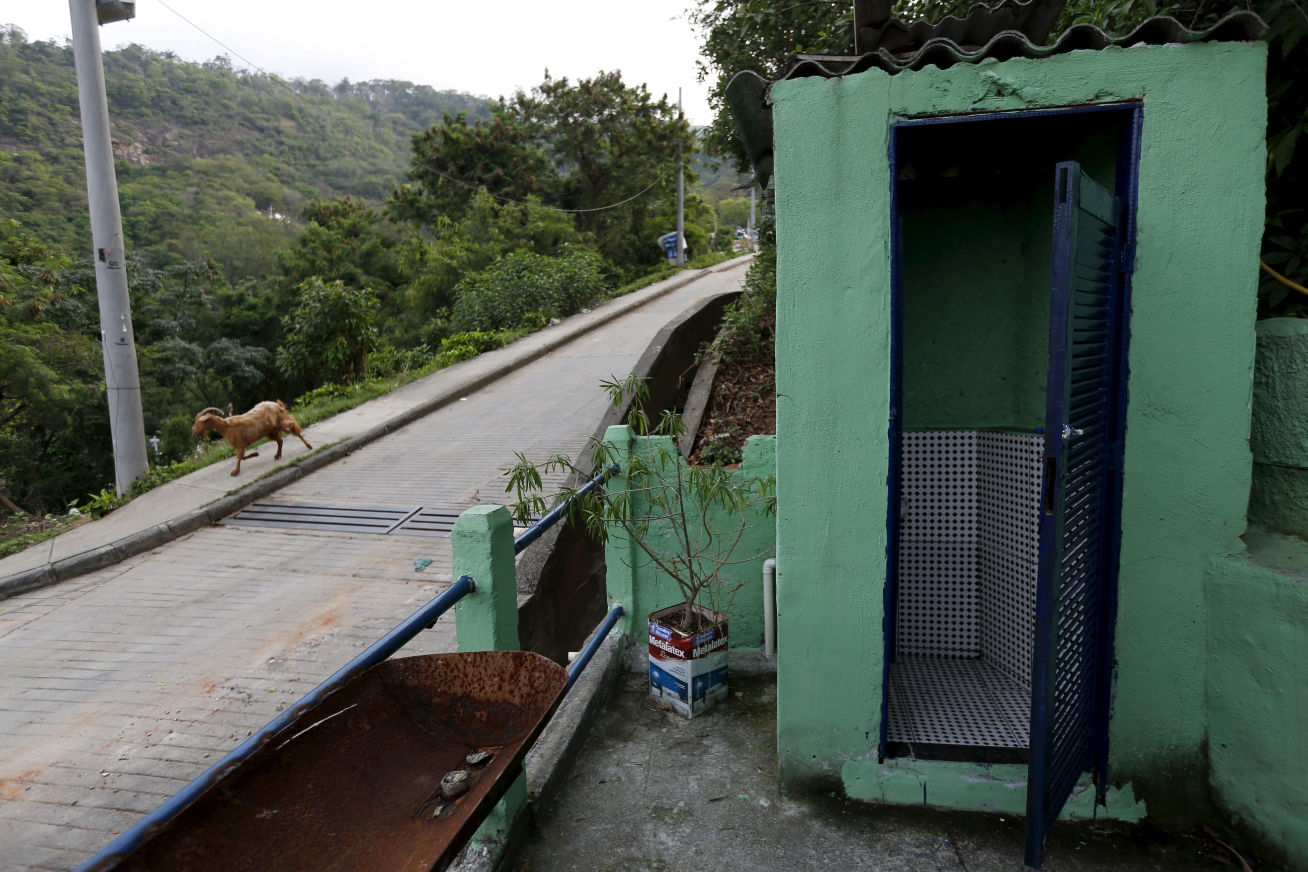 A dog runs past a bar toilet in the Turano slum, in Rio de Janeiro, Brazil, on October 1, 2015.