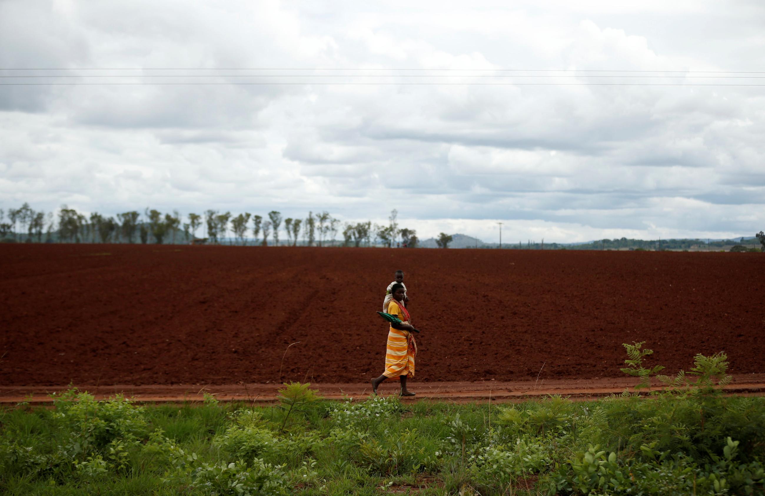 A woman carries a child as she walks past farmland.