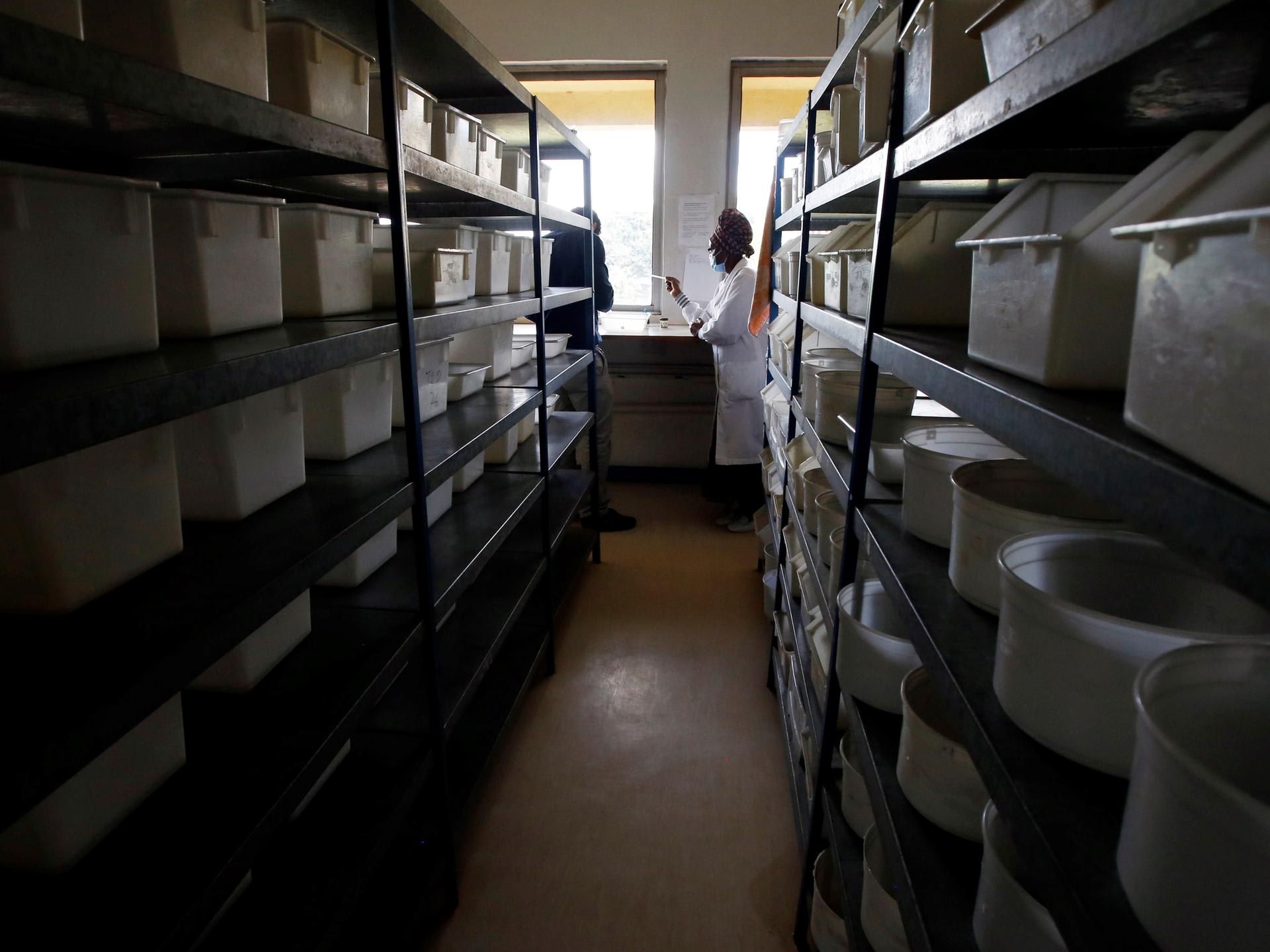 Researchers work inside a laboratory at the International Centre of Insect Physiology and Ecology (ICIPE) headquarters, in Nairobi, Kenya, on May 11, 2020.