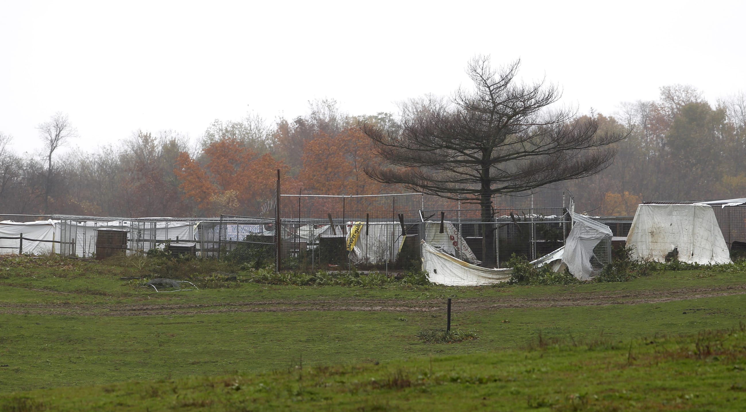 Cages are seen at a property where exotic animals were kept, in Zanesville, Ohio, on October 20, 2011.